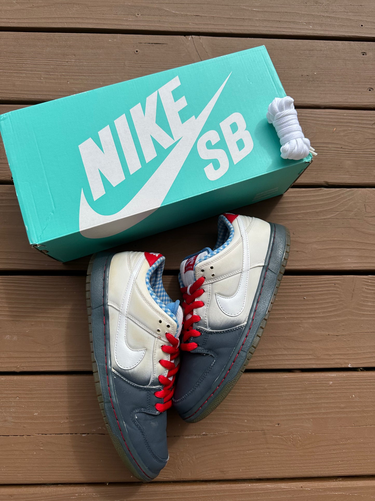 Size 9 - Nike Dunk Low Premium SB Dorothy
