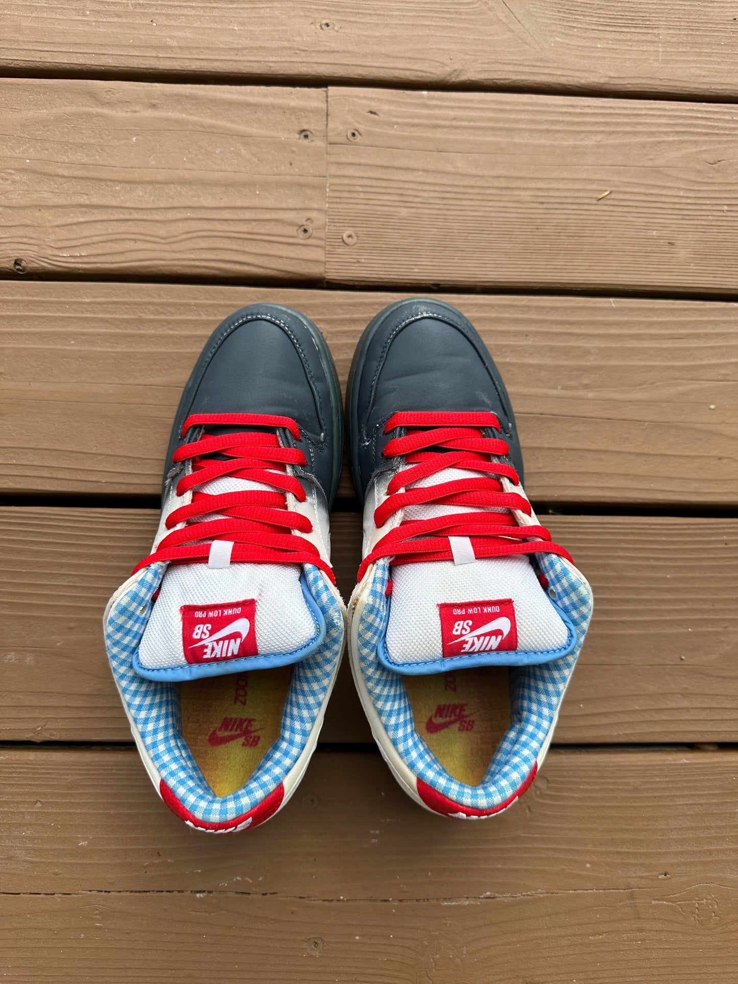 Size 9 - Nike Dunk Low Premium SB Dorothy