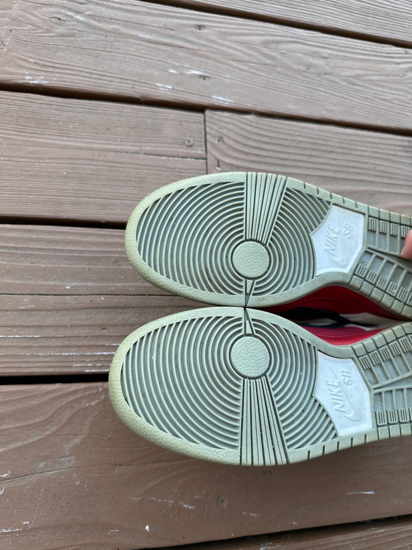 Size 9 - Nike Dunk Low Premium SB Roller Derby