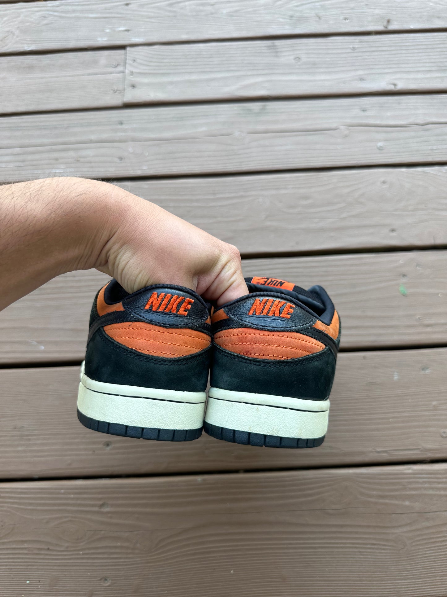 Size 8.5 - Nike Dunk Low Pro SB Flash