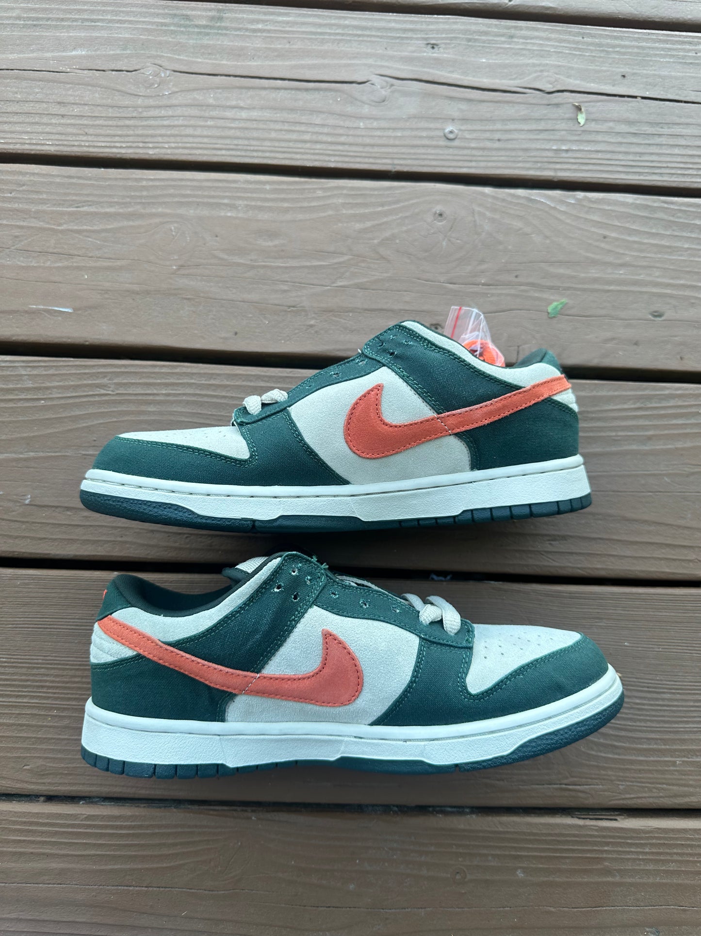 Size 9.5 - Nike Dunk Low Pro SB Eire