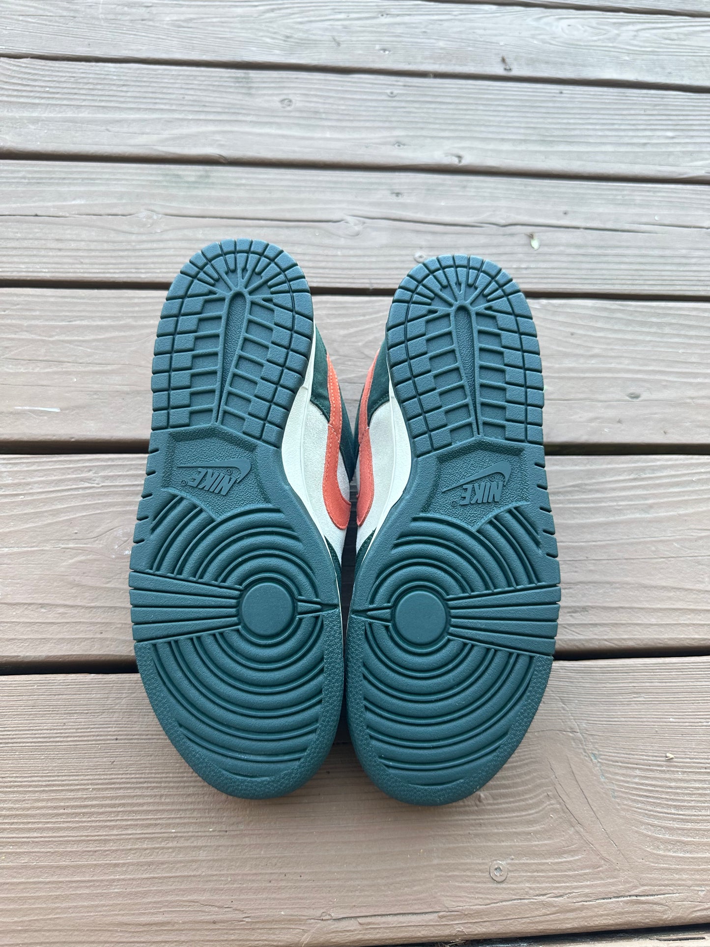 Size 9.5 - Nike Dunk Low Pro SB Eire