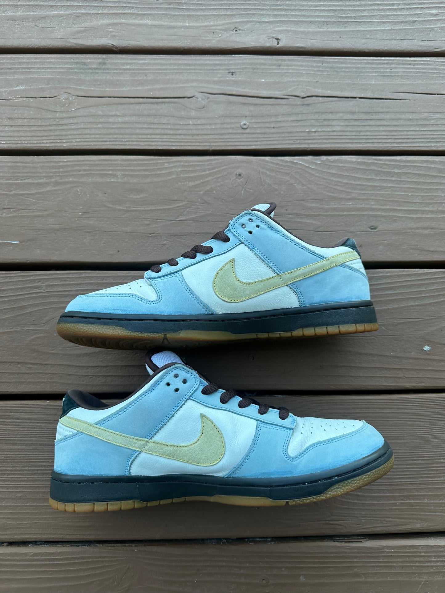 Size 11 - Nike Dunk Low Pro SB Homer