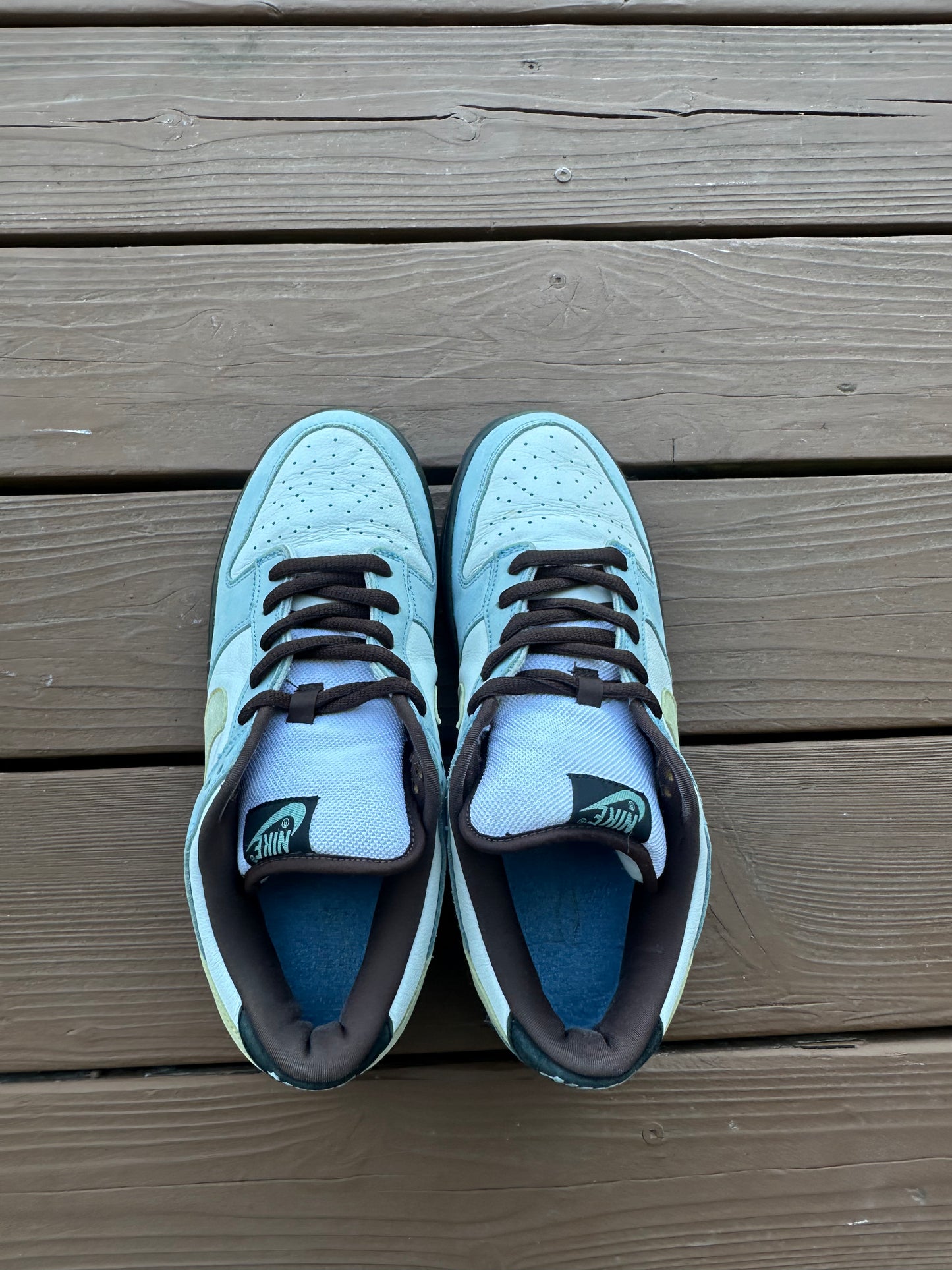 Size 11 - Nike Dunk Low Pro SB Homer
