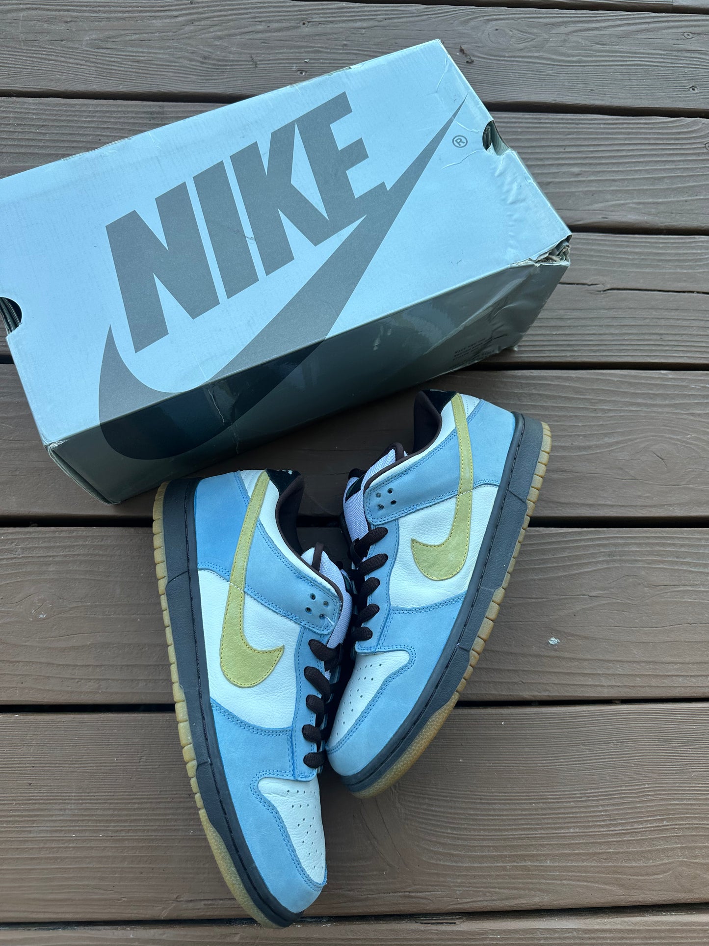 Size 11 - Nike Dunk Low Pro SB Homer