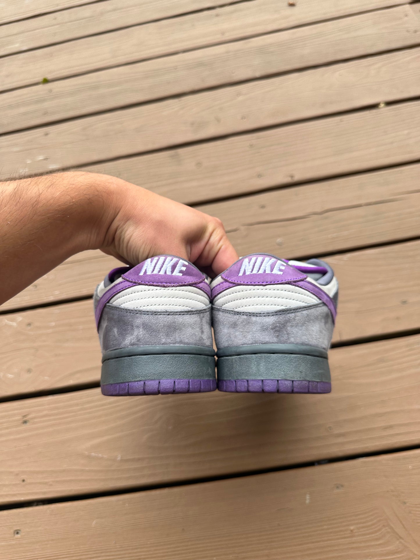 Size 10.5 - Nike Dunk Low Pro SB Purple Pigeon