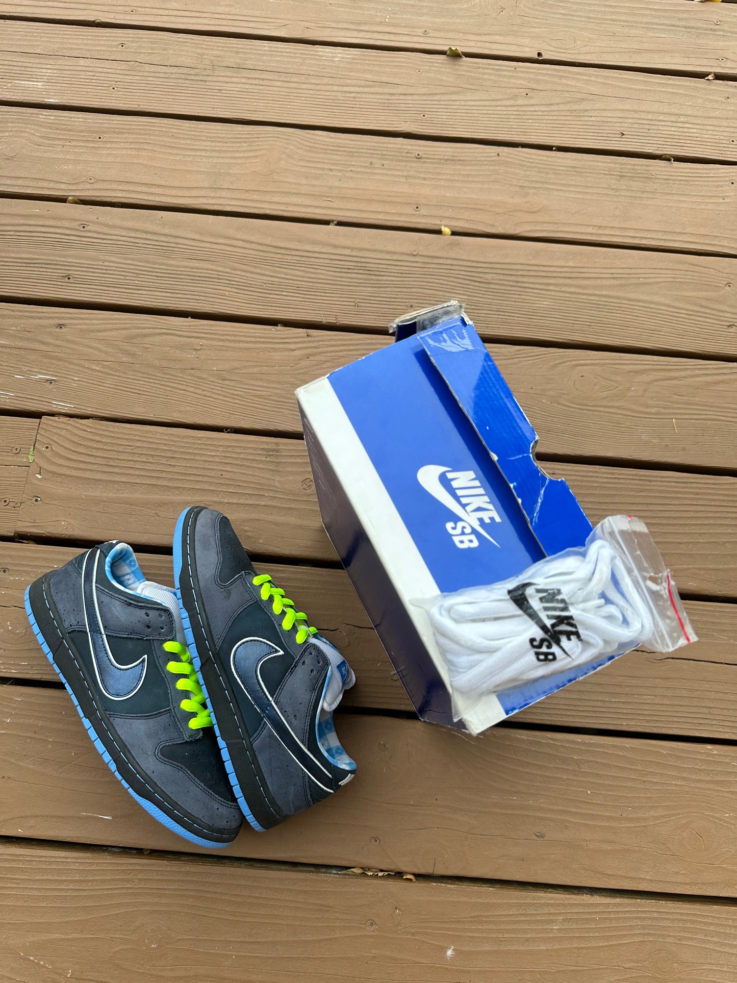 Size 11 - Concepts x Nike SB Dunk Low Premium Blue Lobster