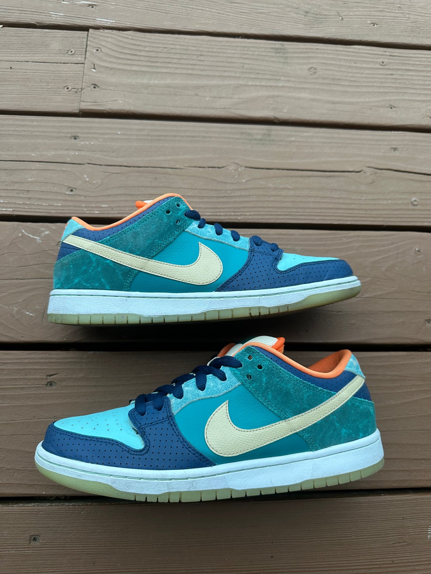 Size 10 - Nike Dunk Low Premium SB MIA