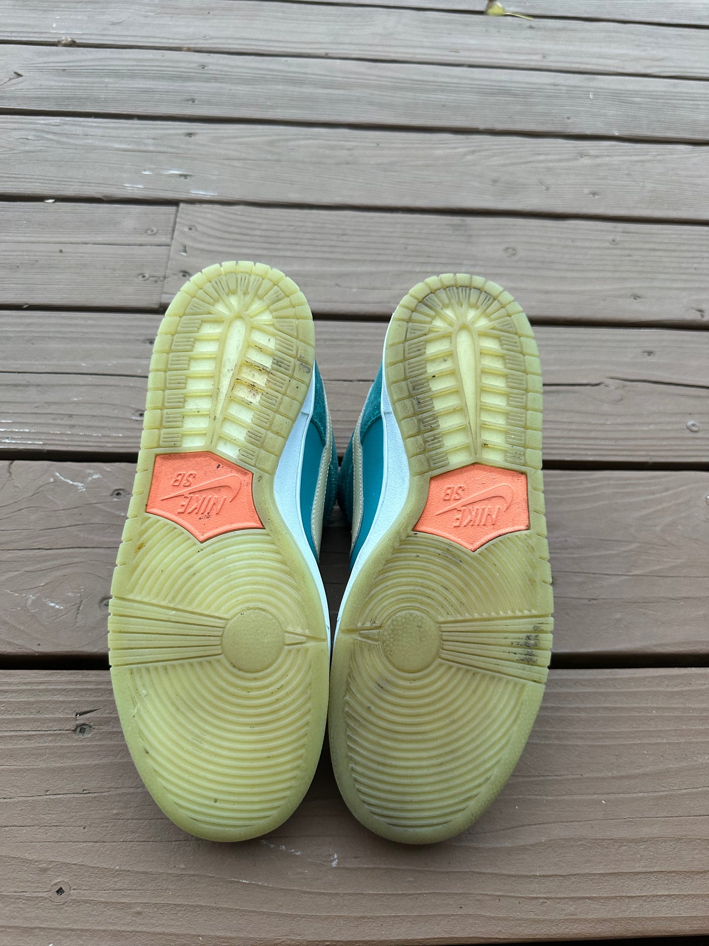 Size 10 - Nike Dunk Low Premium SB MIA