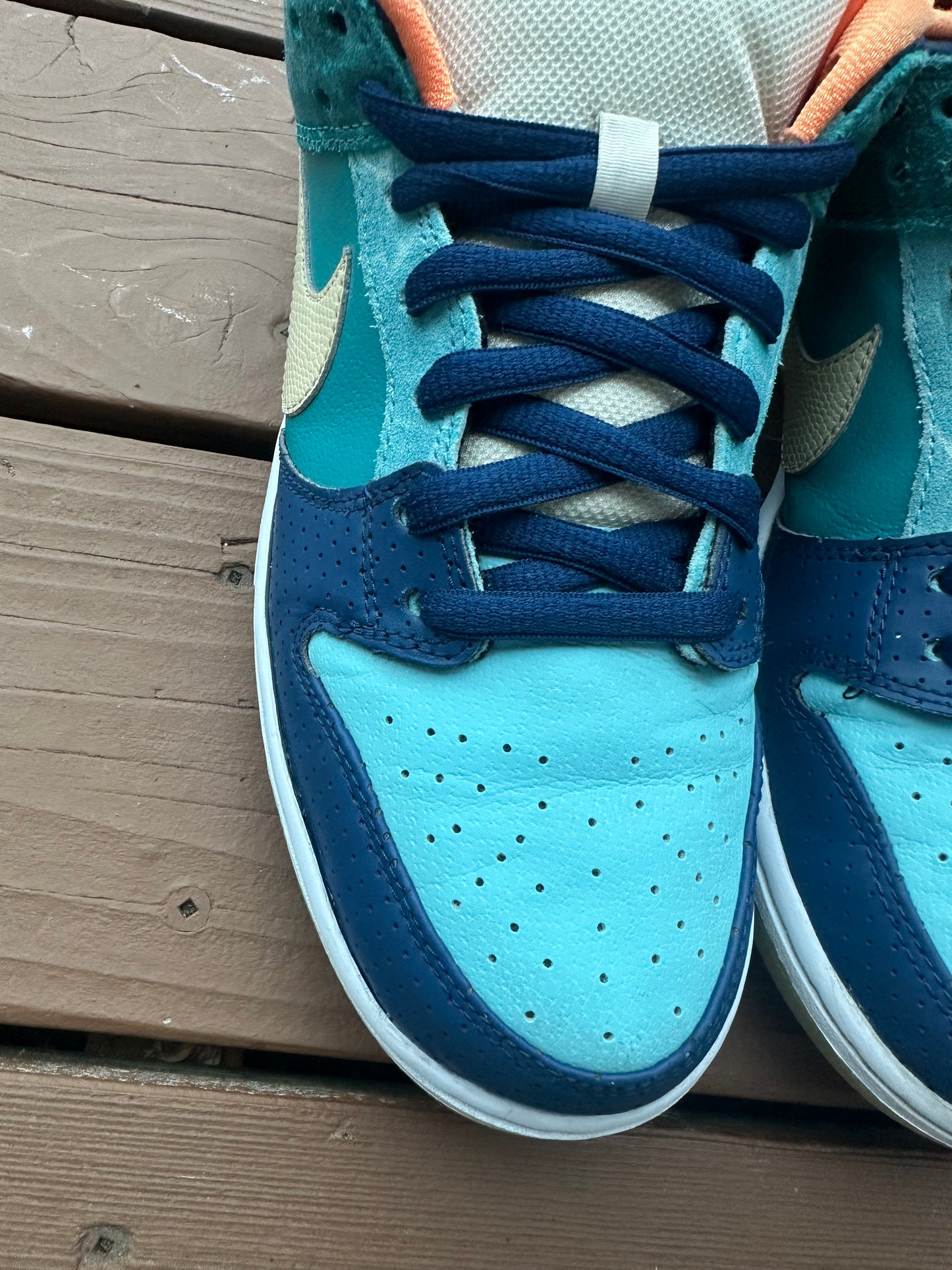Size 10 - Nike Dunk Low Premium SB MIA