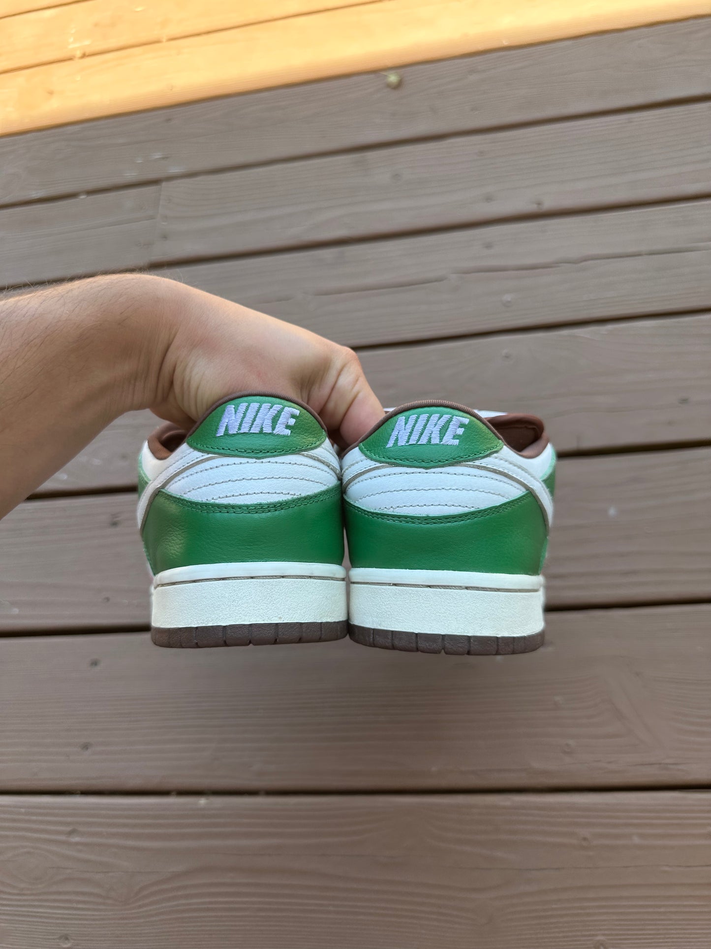 Size 11 - Nike Dunk Low Pro SB Cinco De Mayo