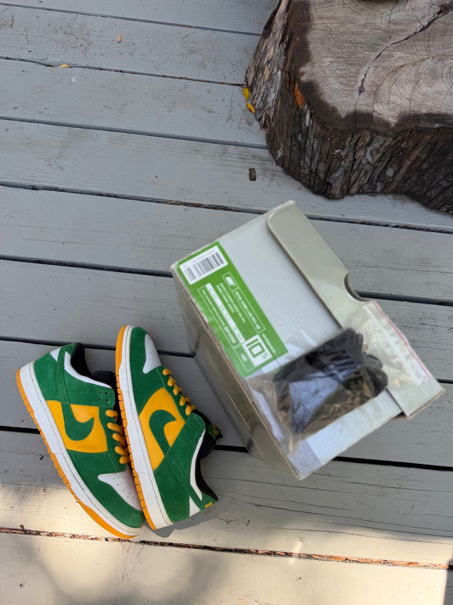 Size 10.5 - Nike Dunk Low Pro SB Buck