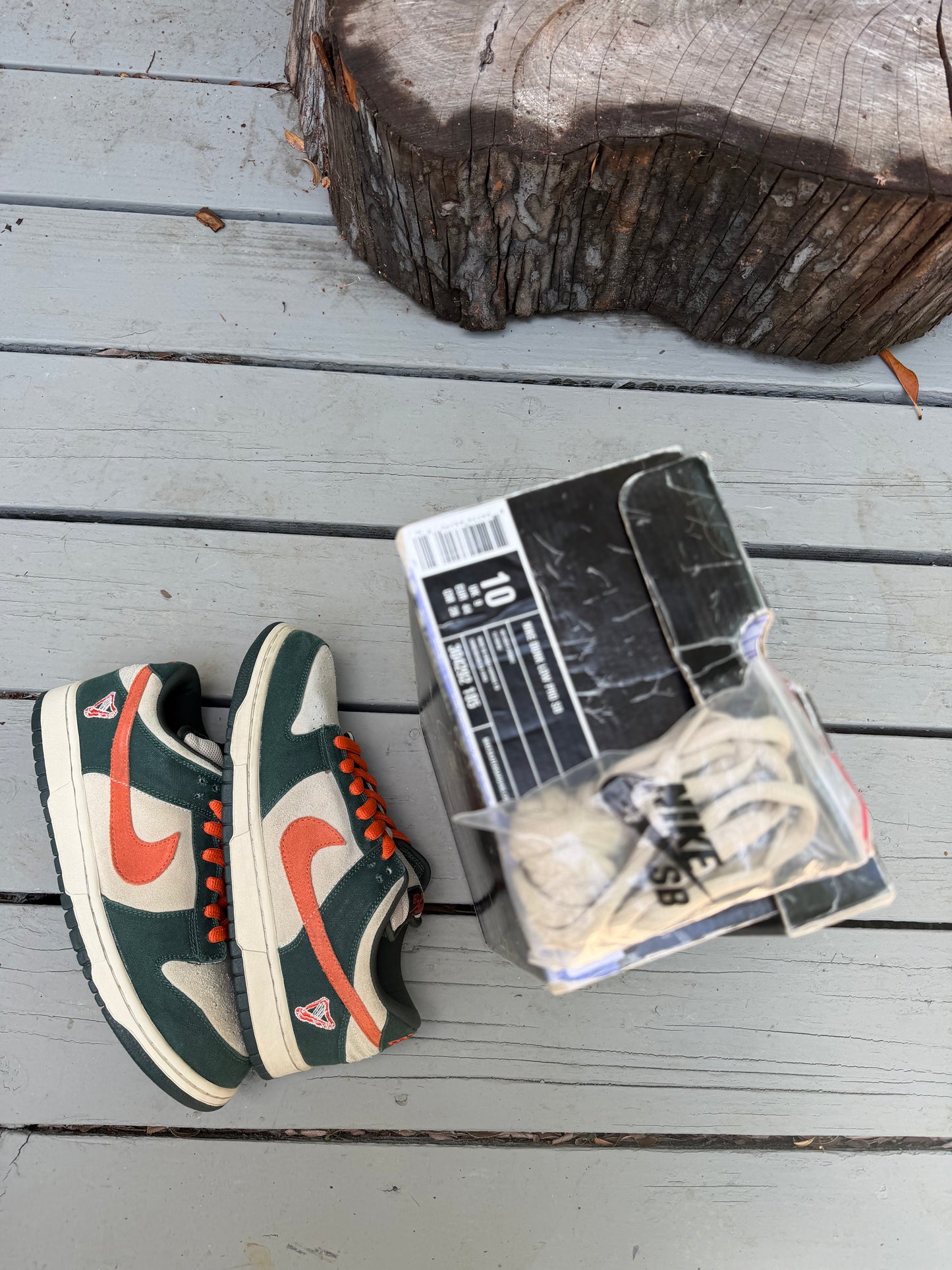 Size 10 - Nike Dunk Low Pro SB Eire