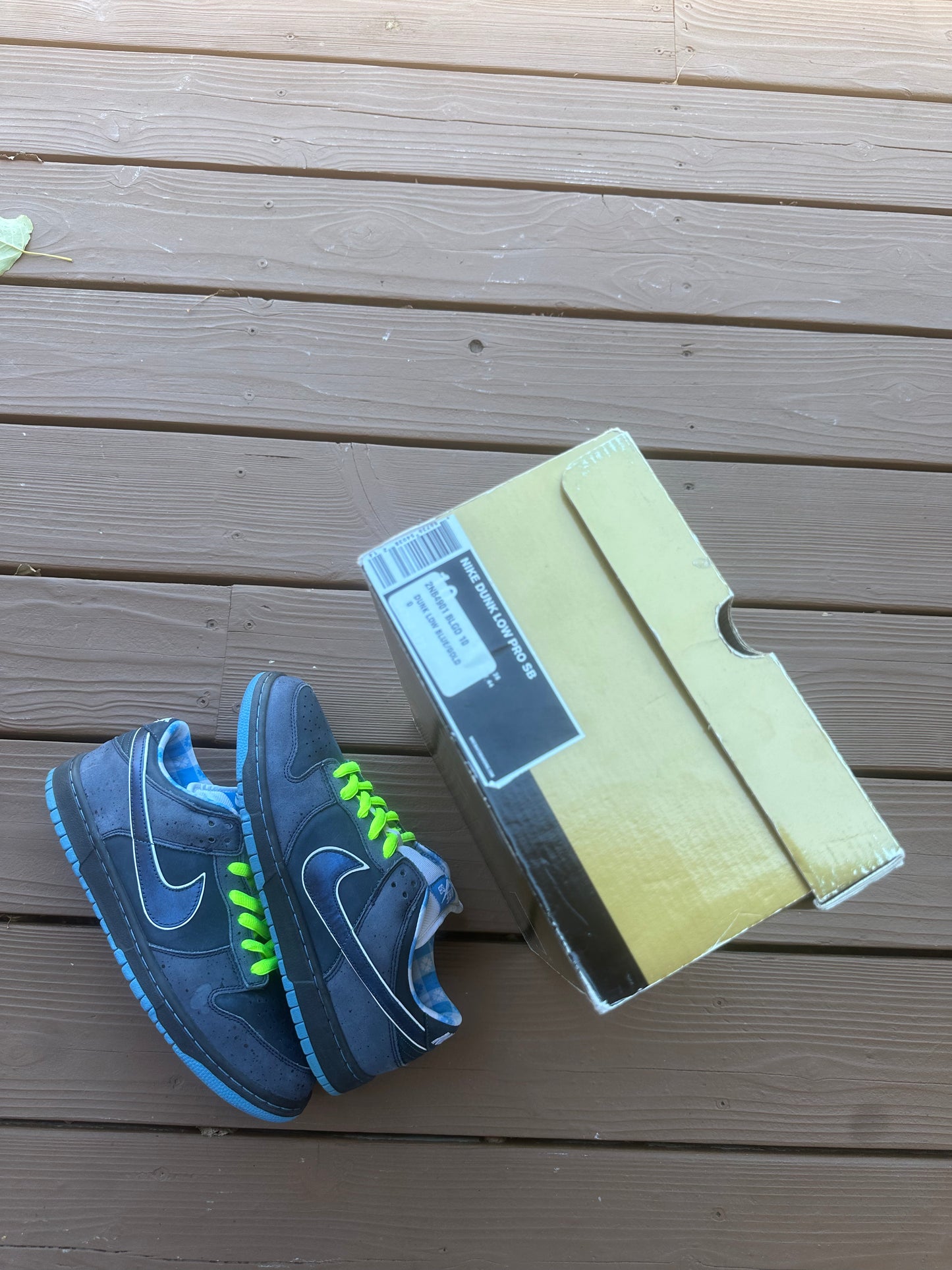 Size 11 - Concepts x Nike SB Dunk Low Premium Blue Lobster