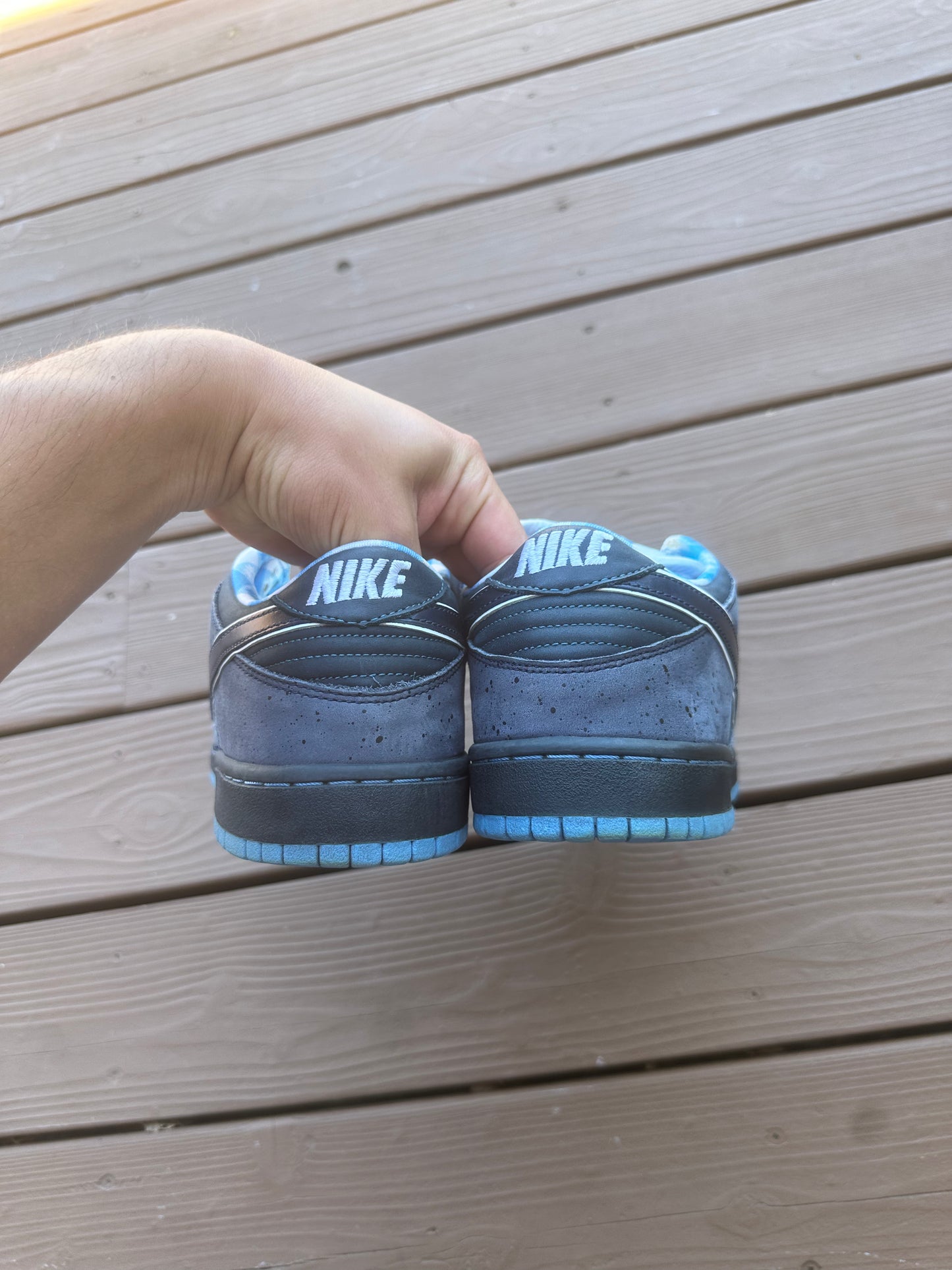 Size 11 - Concepts x Nike SB Dunk Low Premium Blue Lobster