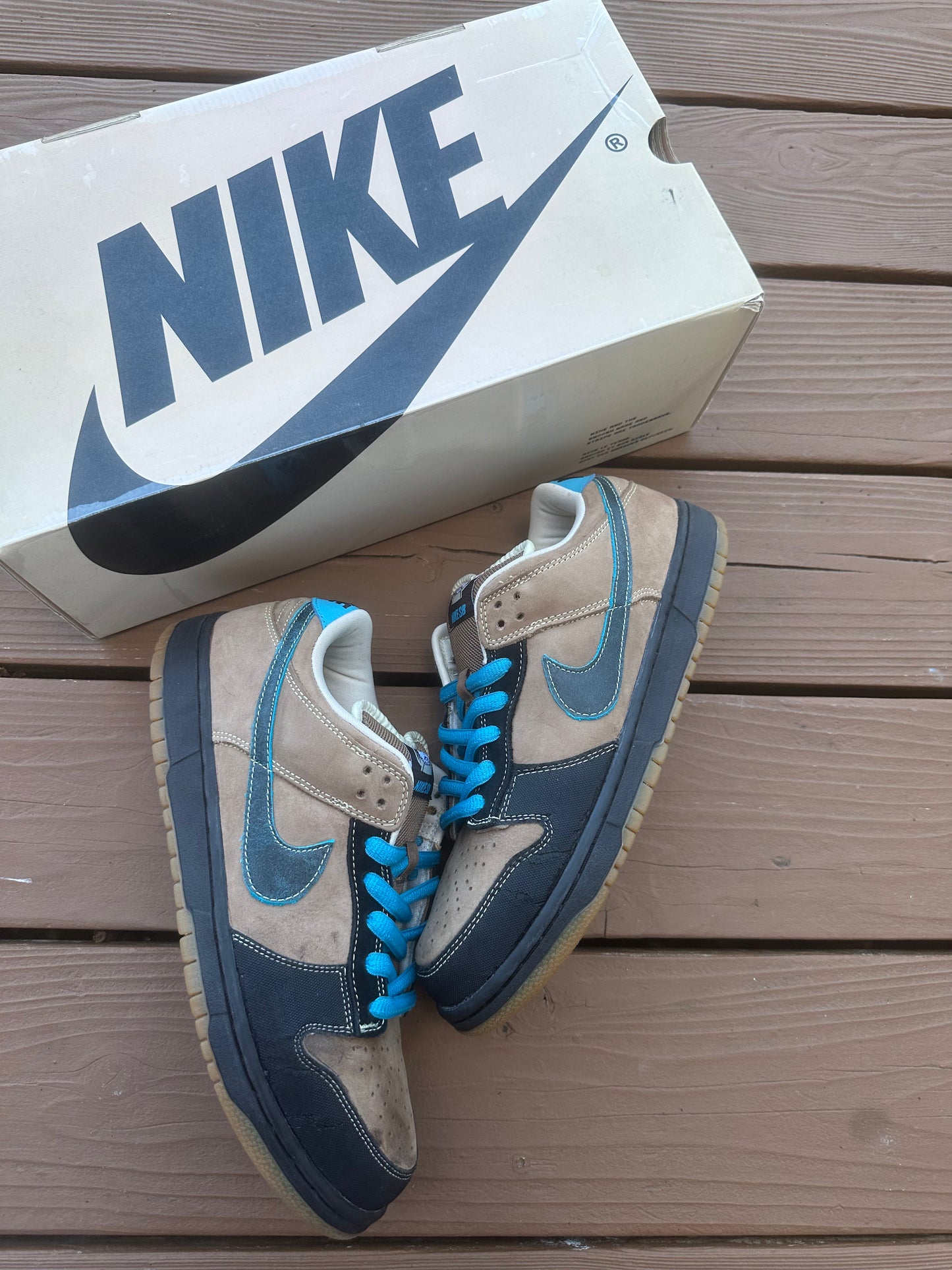 Size 10.5 - Nike Dunk Low Pro SB Slam City