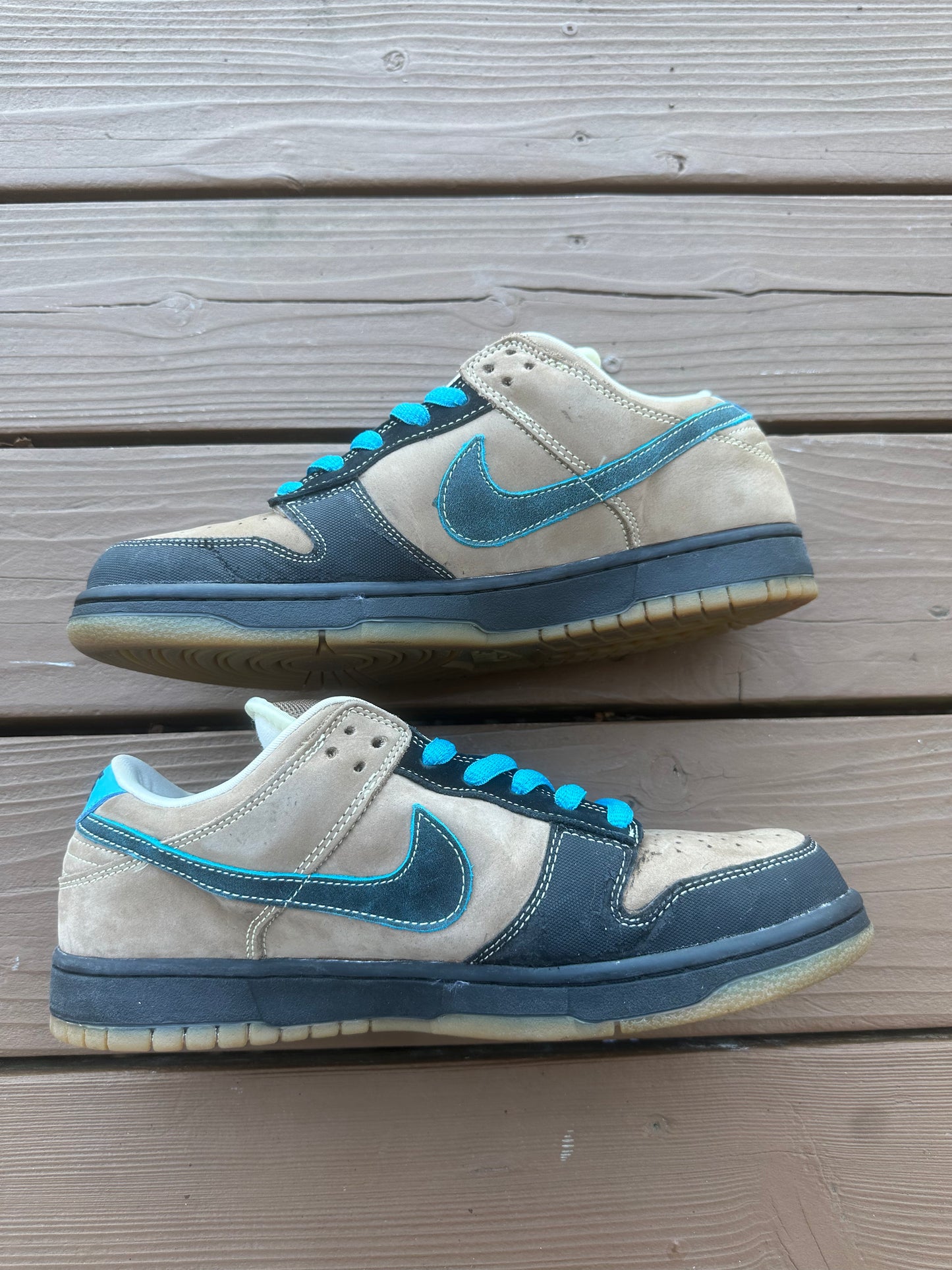 Size 10.5 - Nike Dunk Low Pro SB Slam City