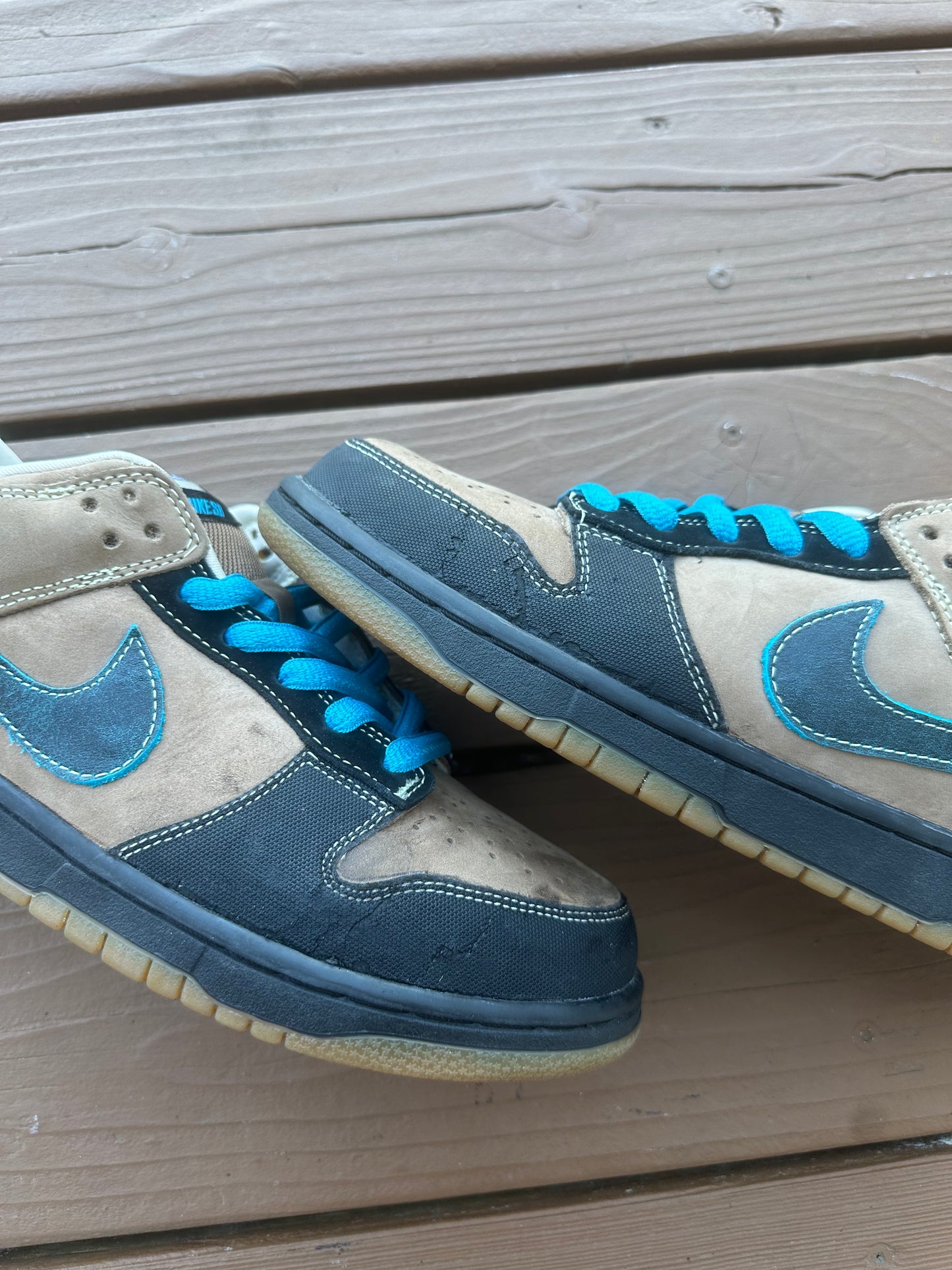 Size 10.5 - Nike Dunk Low Pro SB Slam City