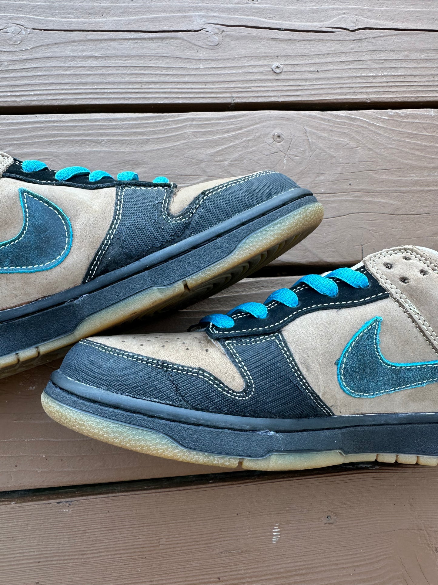 Size 10.5 - Nike Dunk Low Pro SB Slam City
