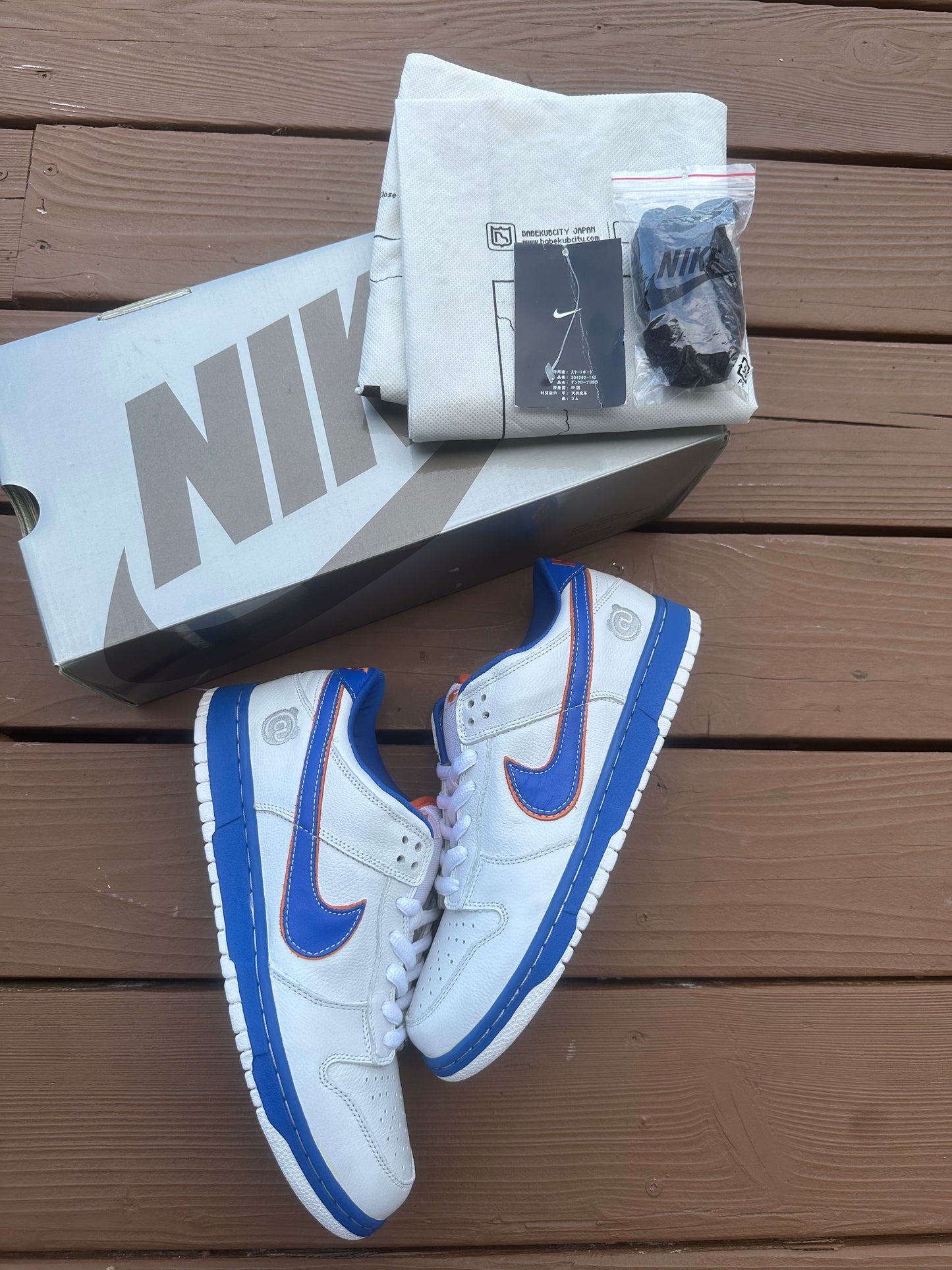 Size 9.5 - Nike Dunk Low Pro SB Medicom 1
