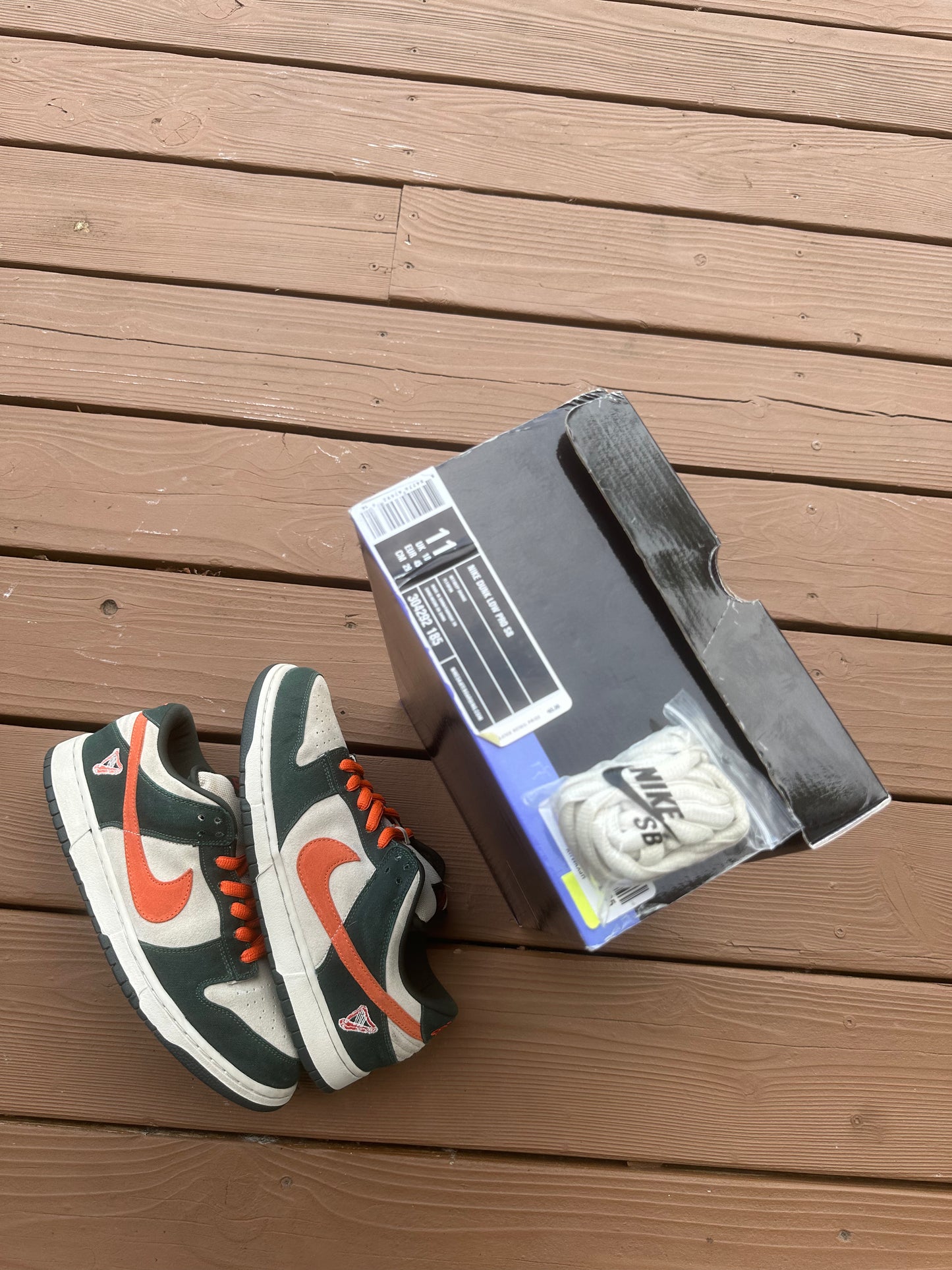 Size 11 - Nike Dunk Low Pro SB Eire