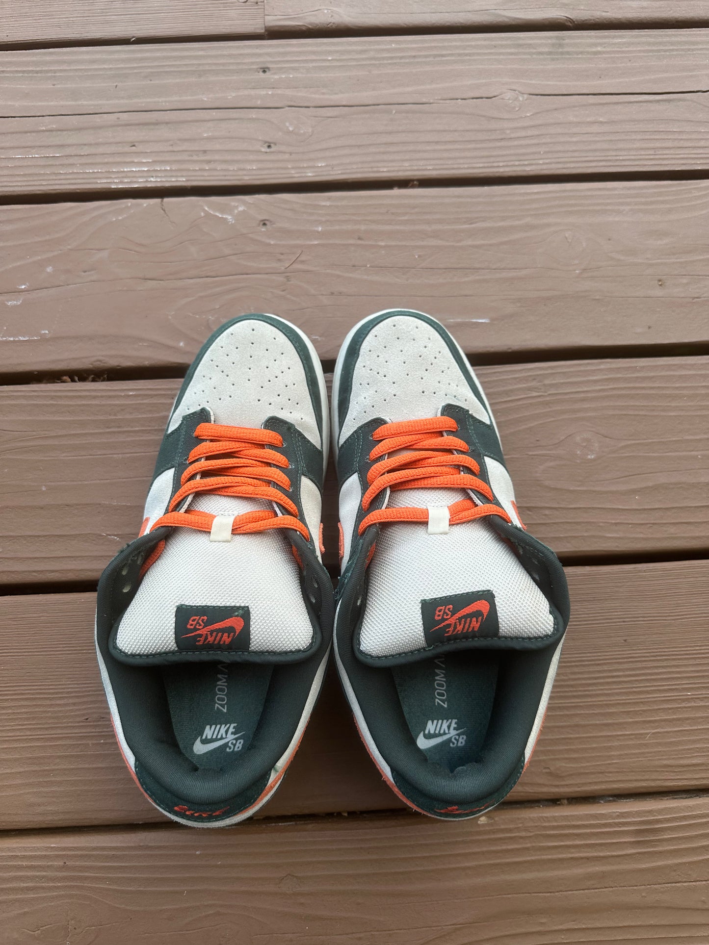 Size 11 - Nike Dunk Low Pro SB Eire