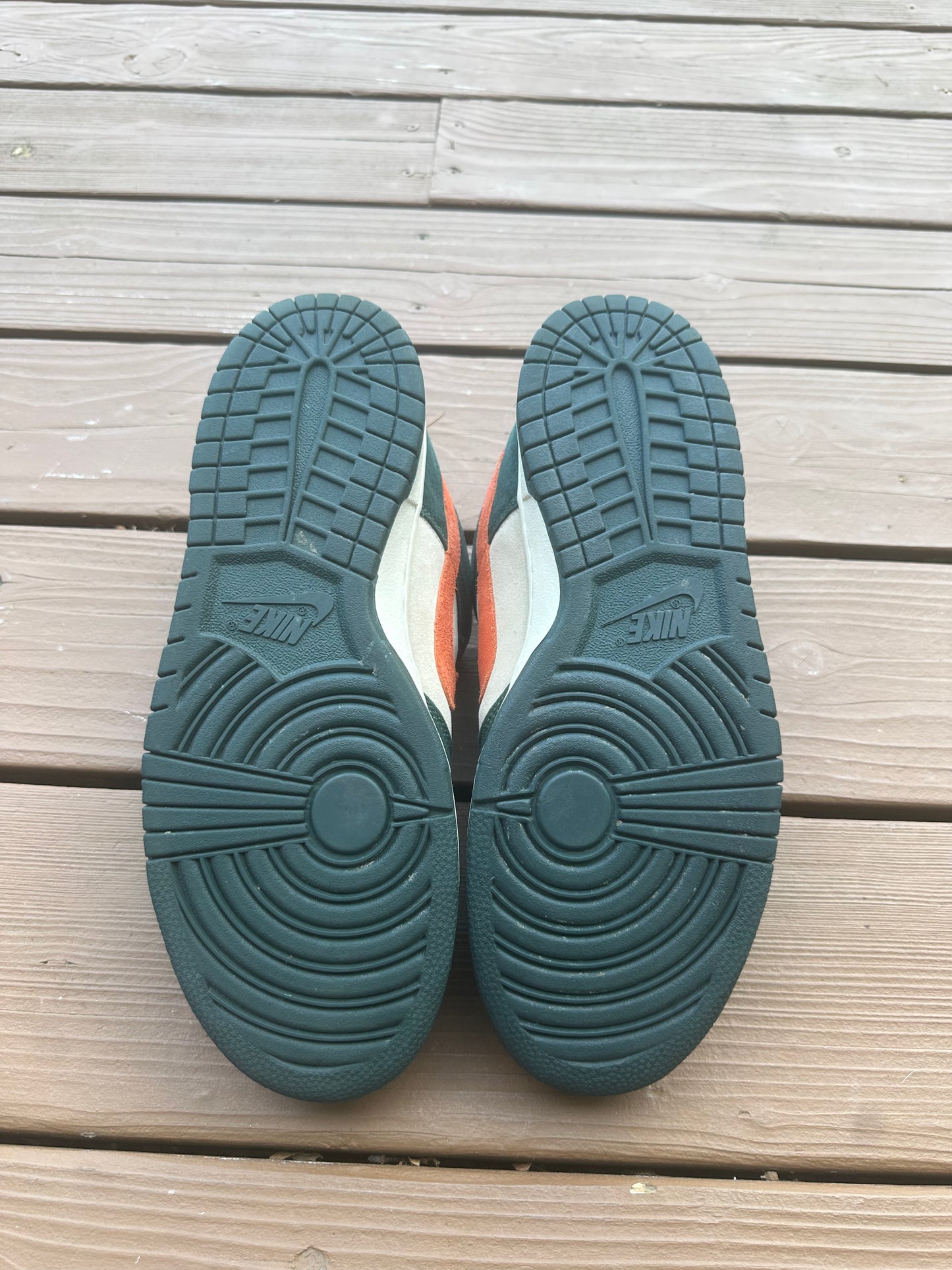 Size 11 - Nike Dunk Low Pro SB Eire