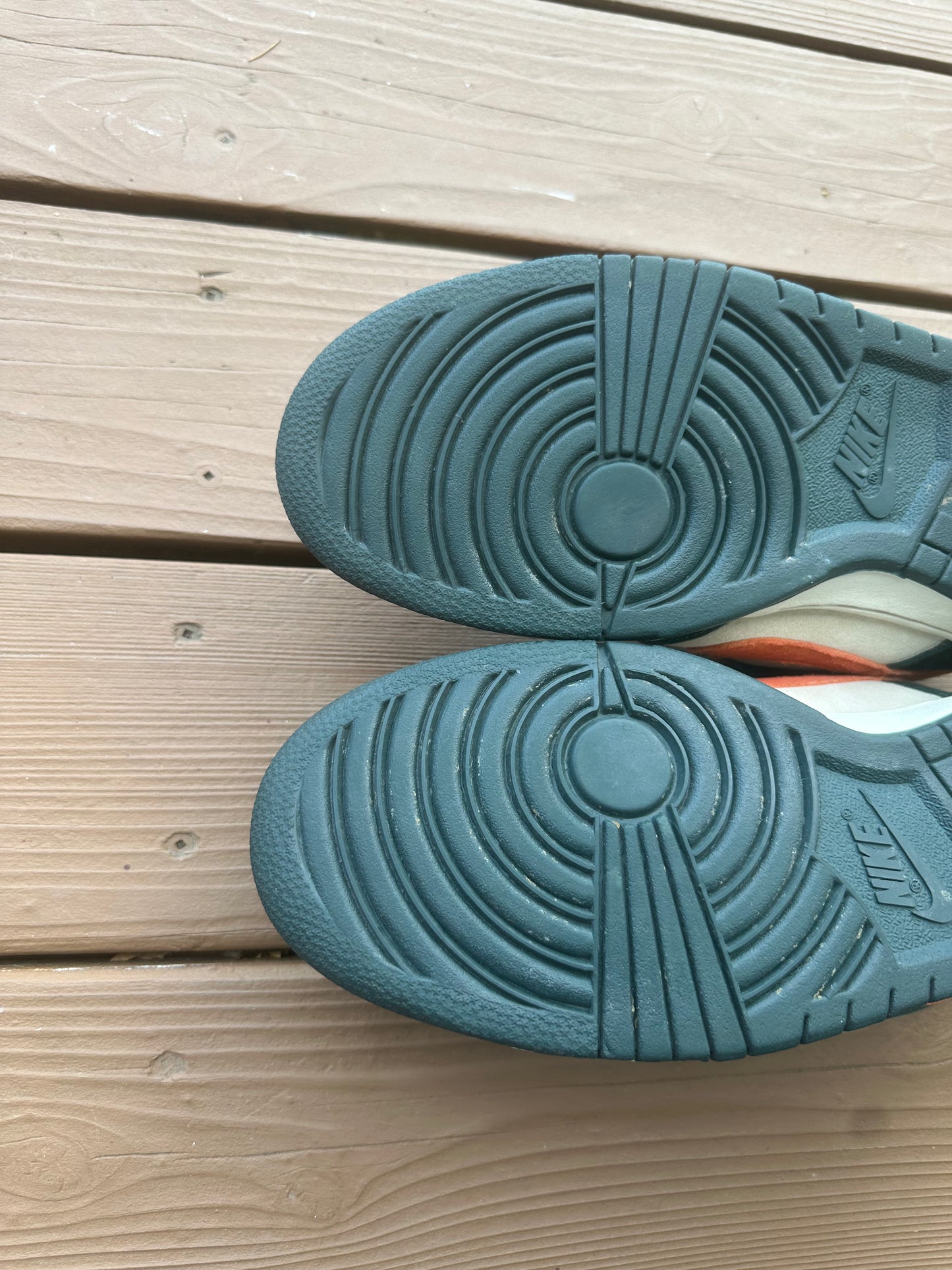 Size 11 - Nike Dunk Low Pro SB Eire