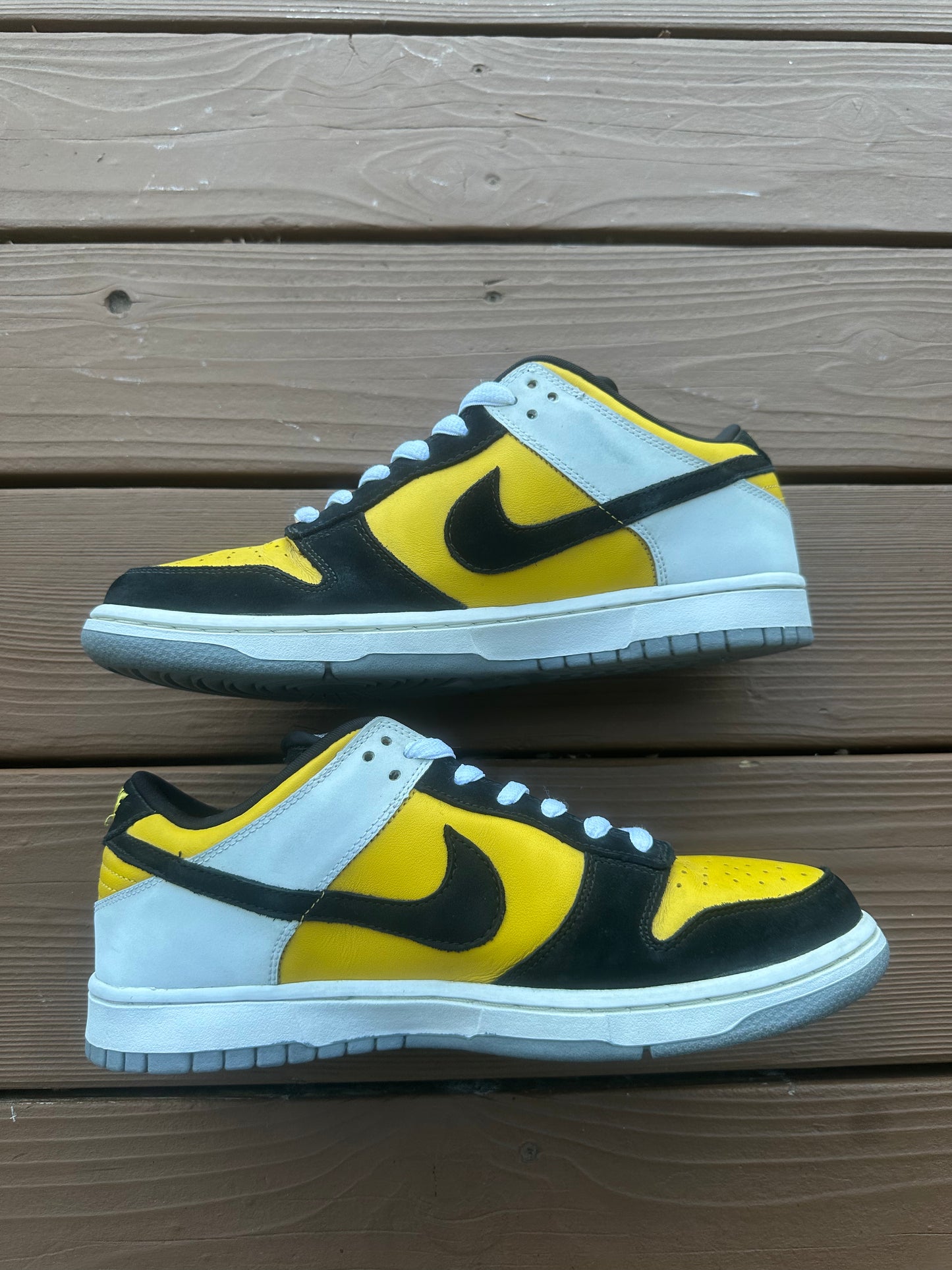 Size 11 - Nike Dunk Low Pro SB Bic