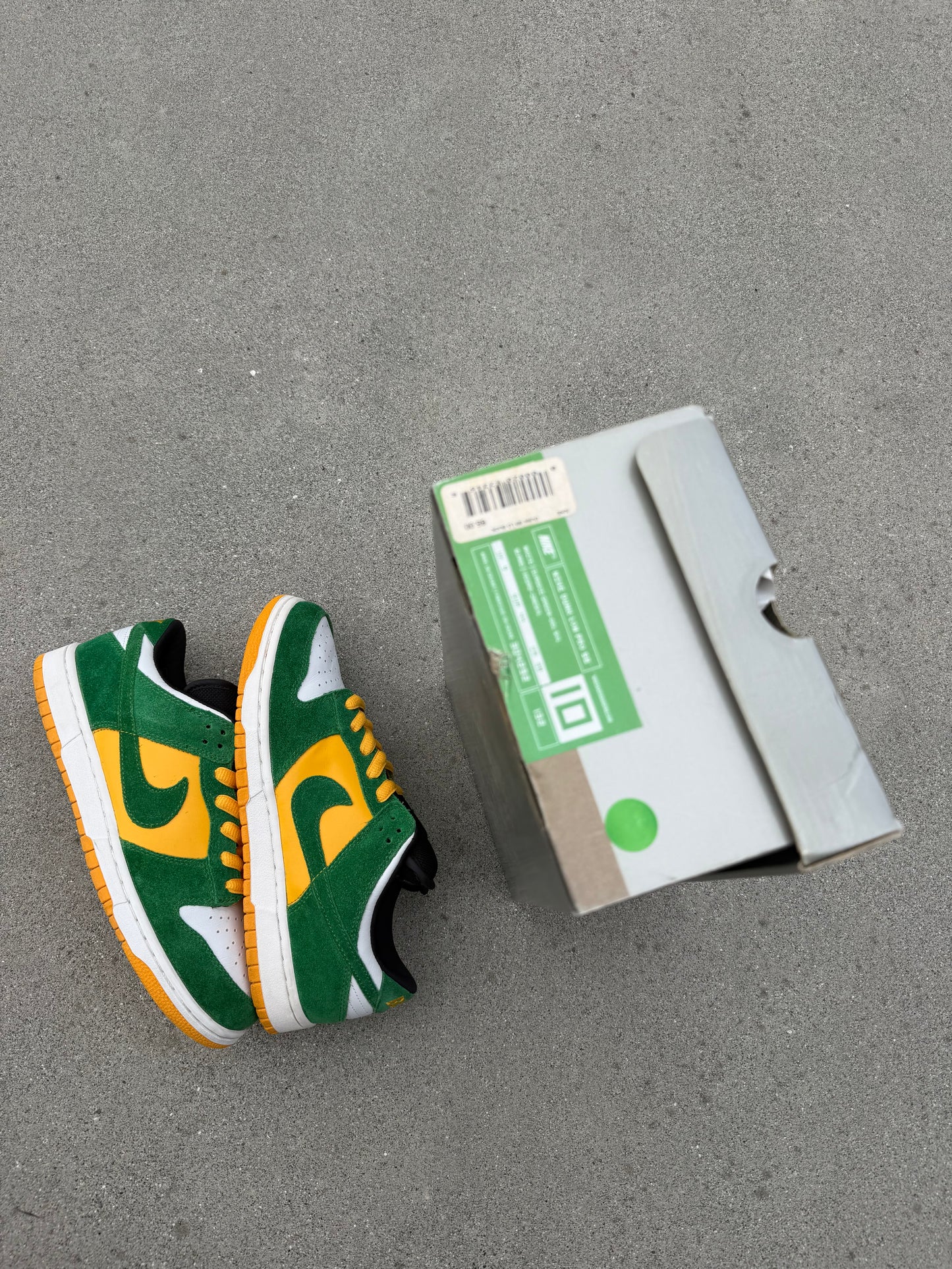 Size 10 - Nike Dunk Low Pro SB Buck