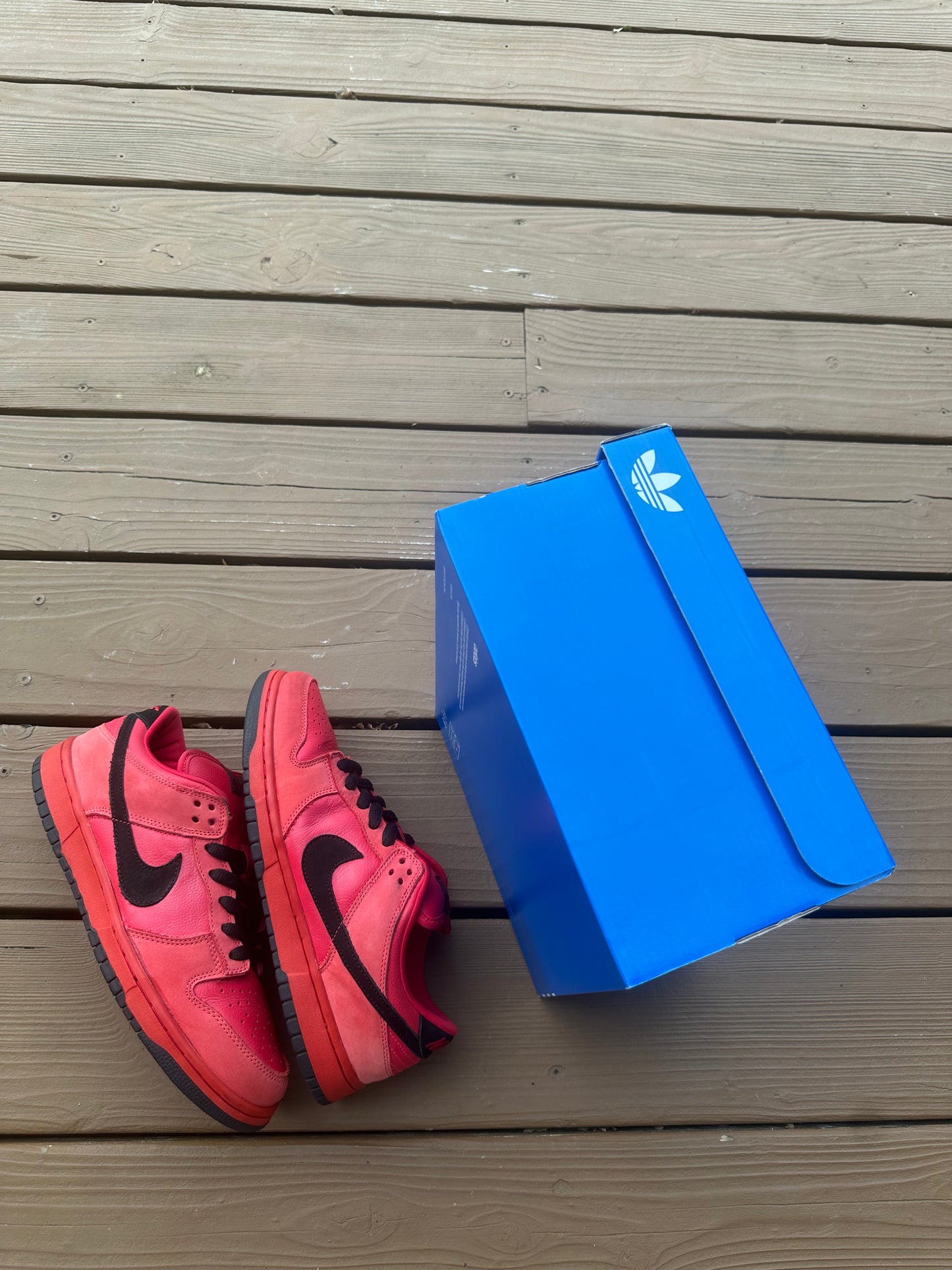 Size 9.5 - Nike Dunk Low Pro SB Pure Blood