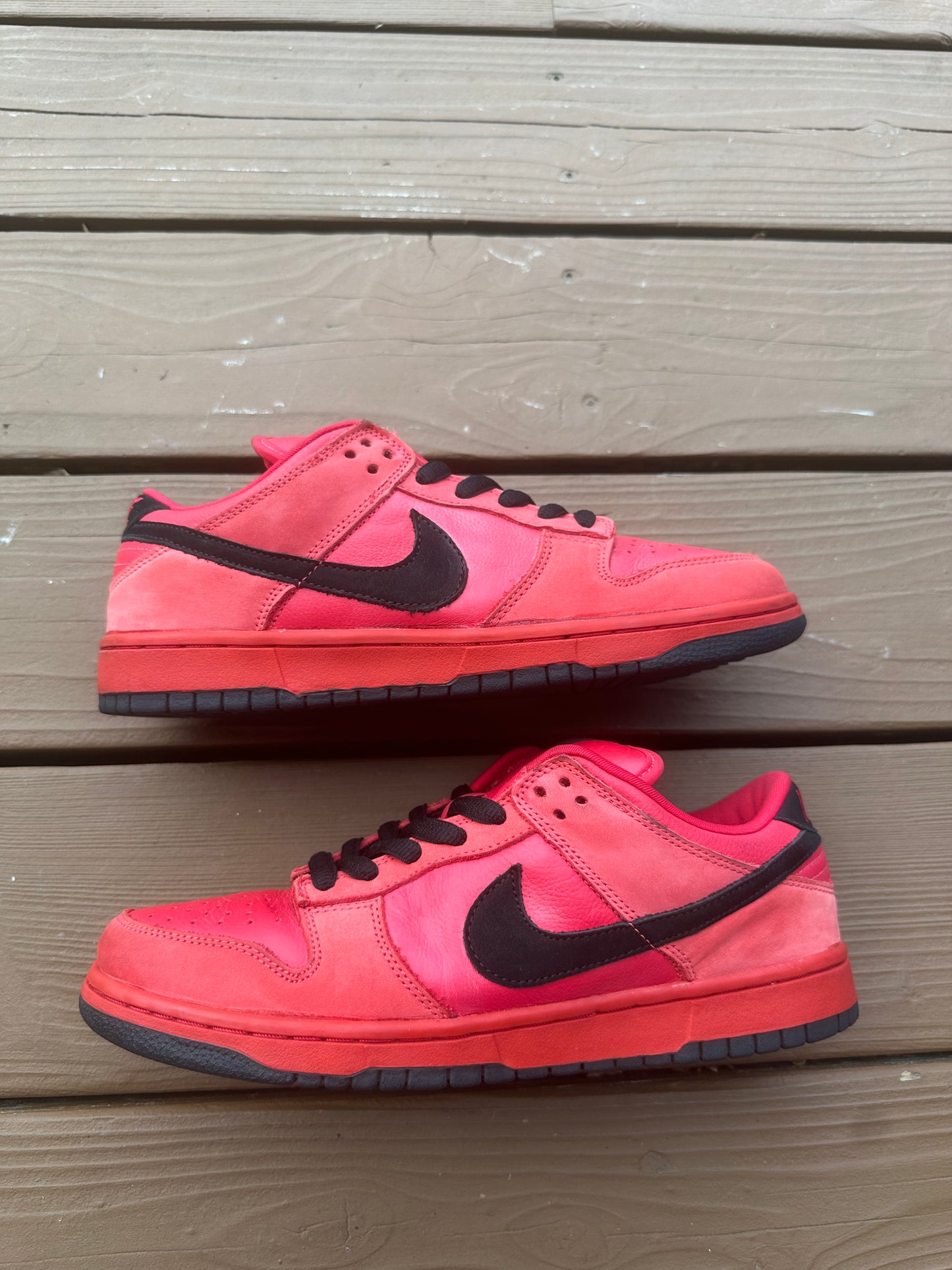 Size 9.5 - Nike Dunk Low Pro SB Pure Blood