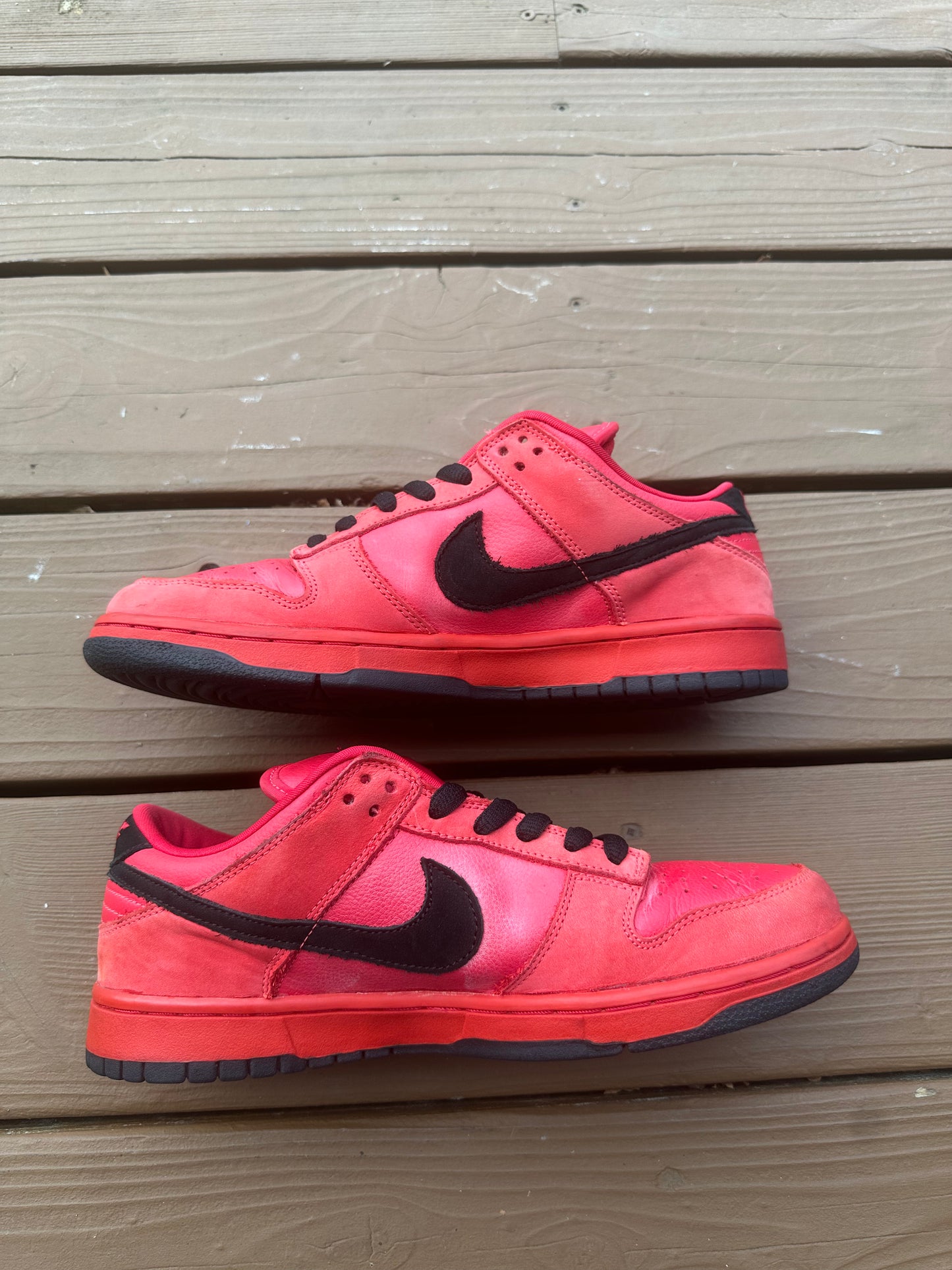 Size 9.5 - Nike Dunk Low Pro SB Pure Blood