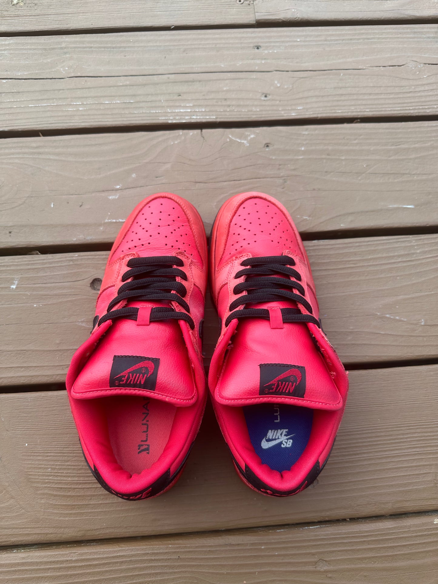 Size 9.5 - Nike Dunk Low Pro SB Pure Blood