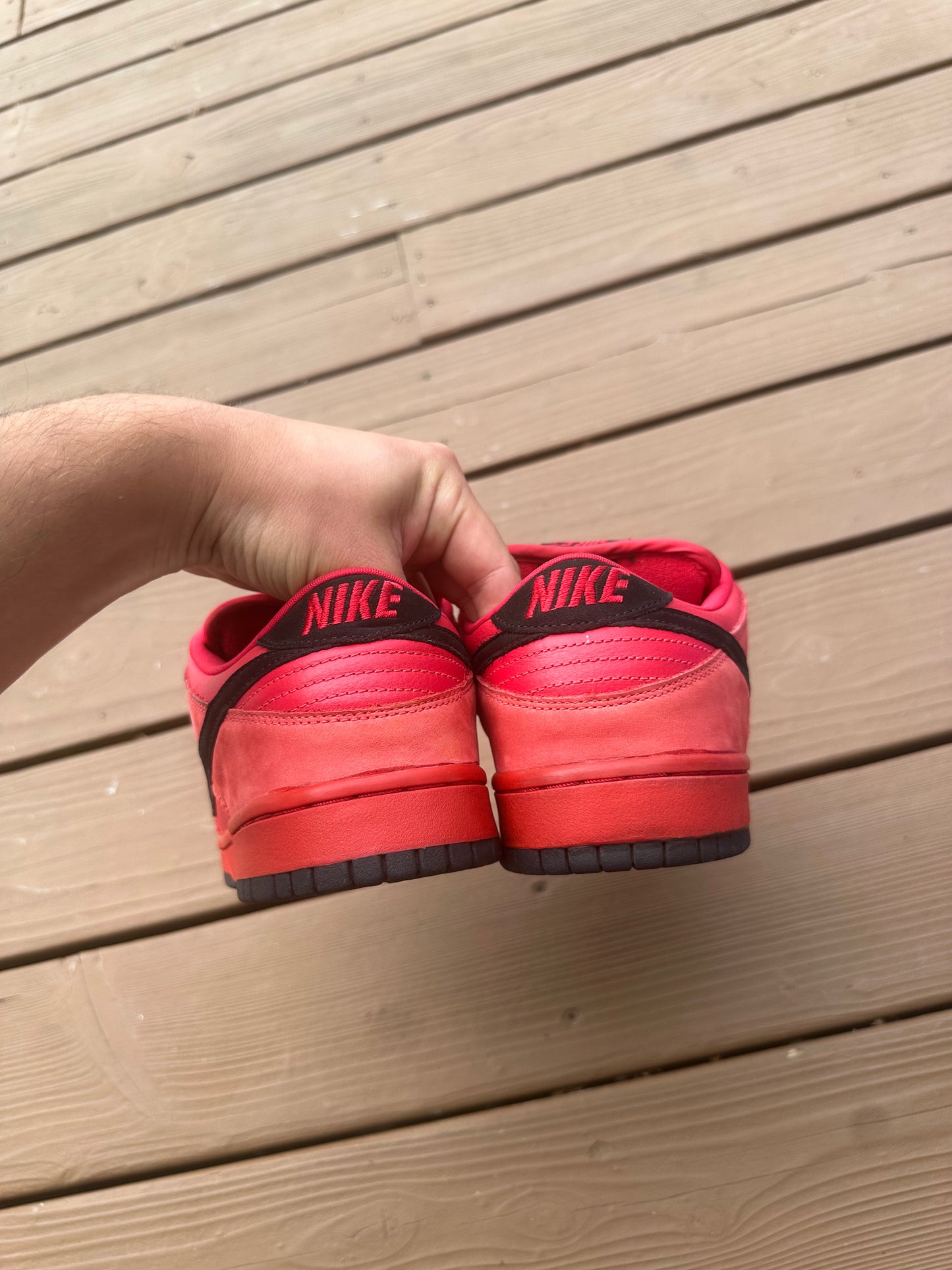 Size 9.5 - Nike Dunk Low Pro SB Pure Blood