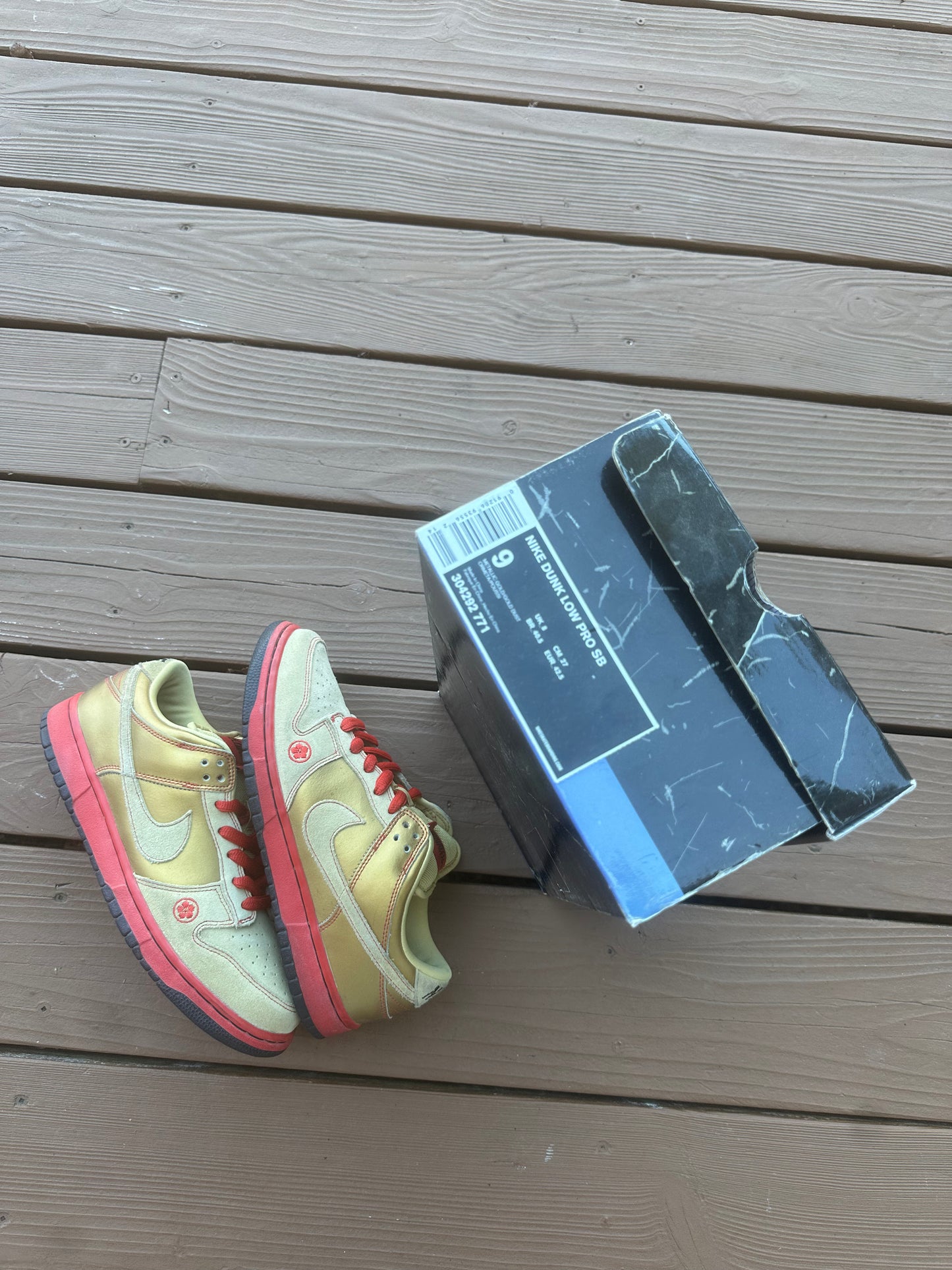 Size 9 - Nike Dunk Low Pro SB Moneycat