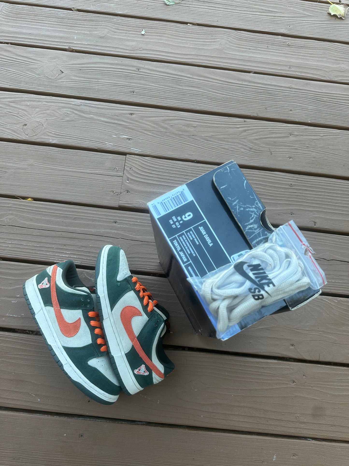 Size 9 - Nike Dunk Low Pro SB Eire