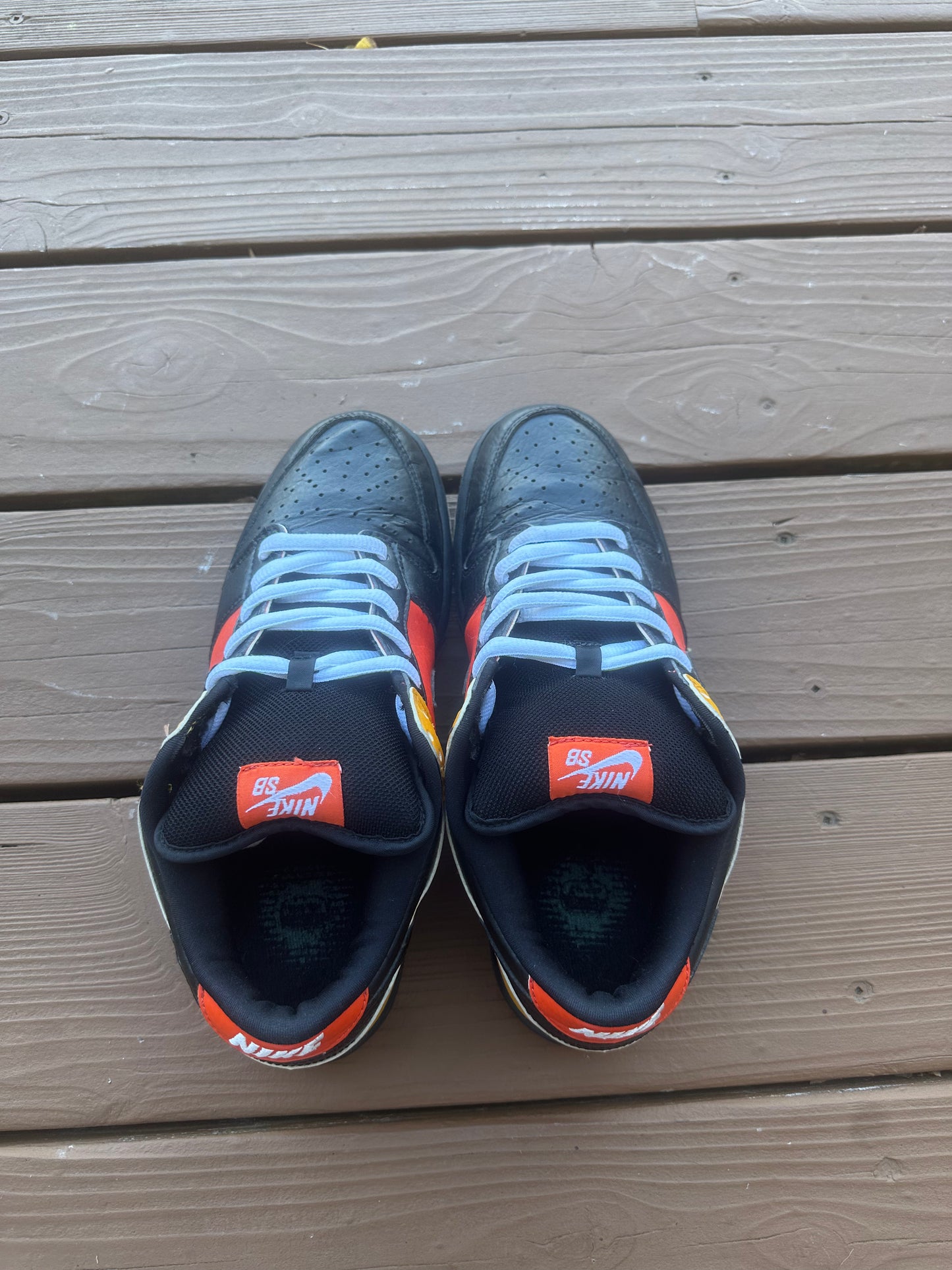 Size 9 - Nike Dunk Low Pro SB Raygun