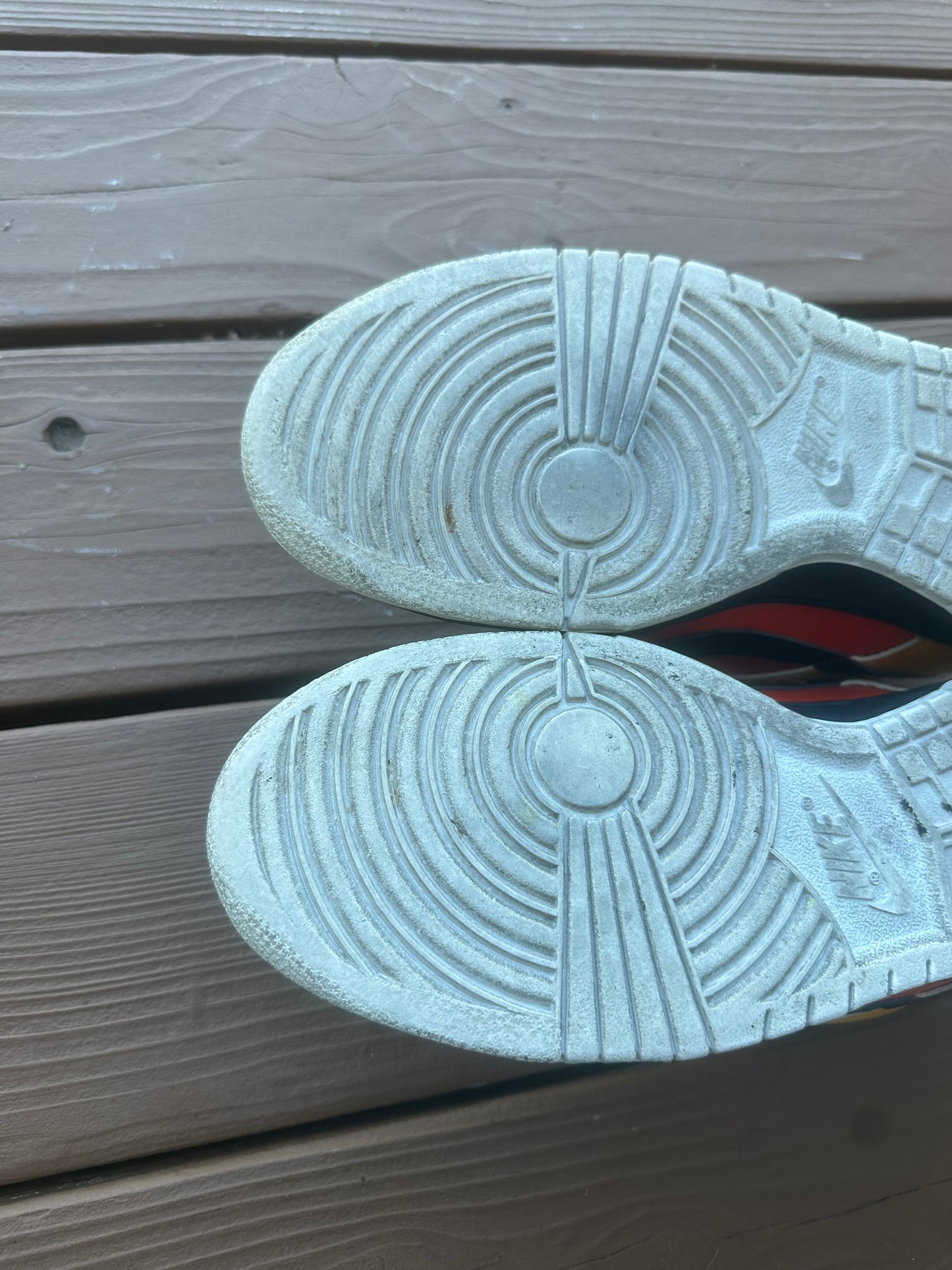 Size 9 - Nike Dunk Low Pro SB Raygun