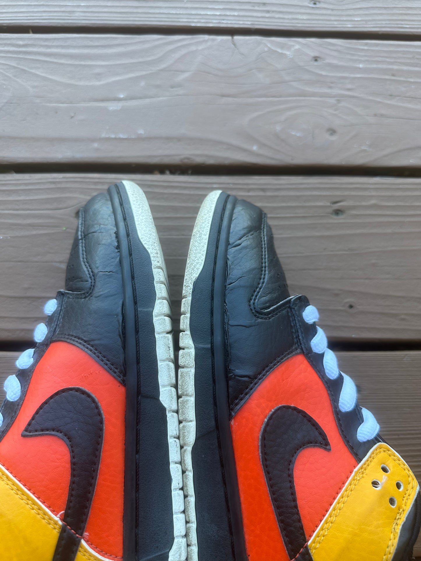 Size 9 - Nike Dunk Low Pro SB Raygun