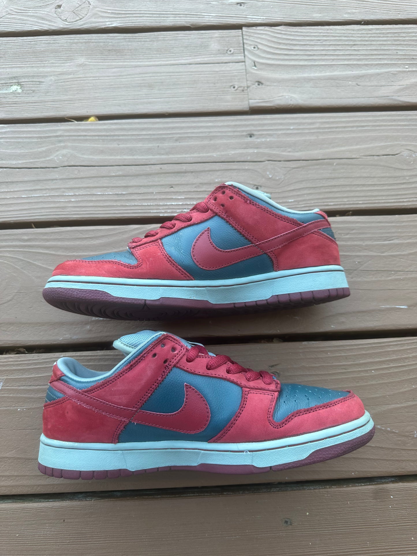 Size 9 - Nike Dunk Low Pro SB Shark