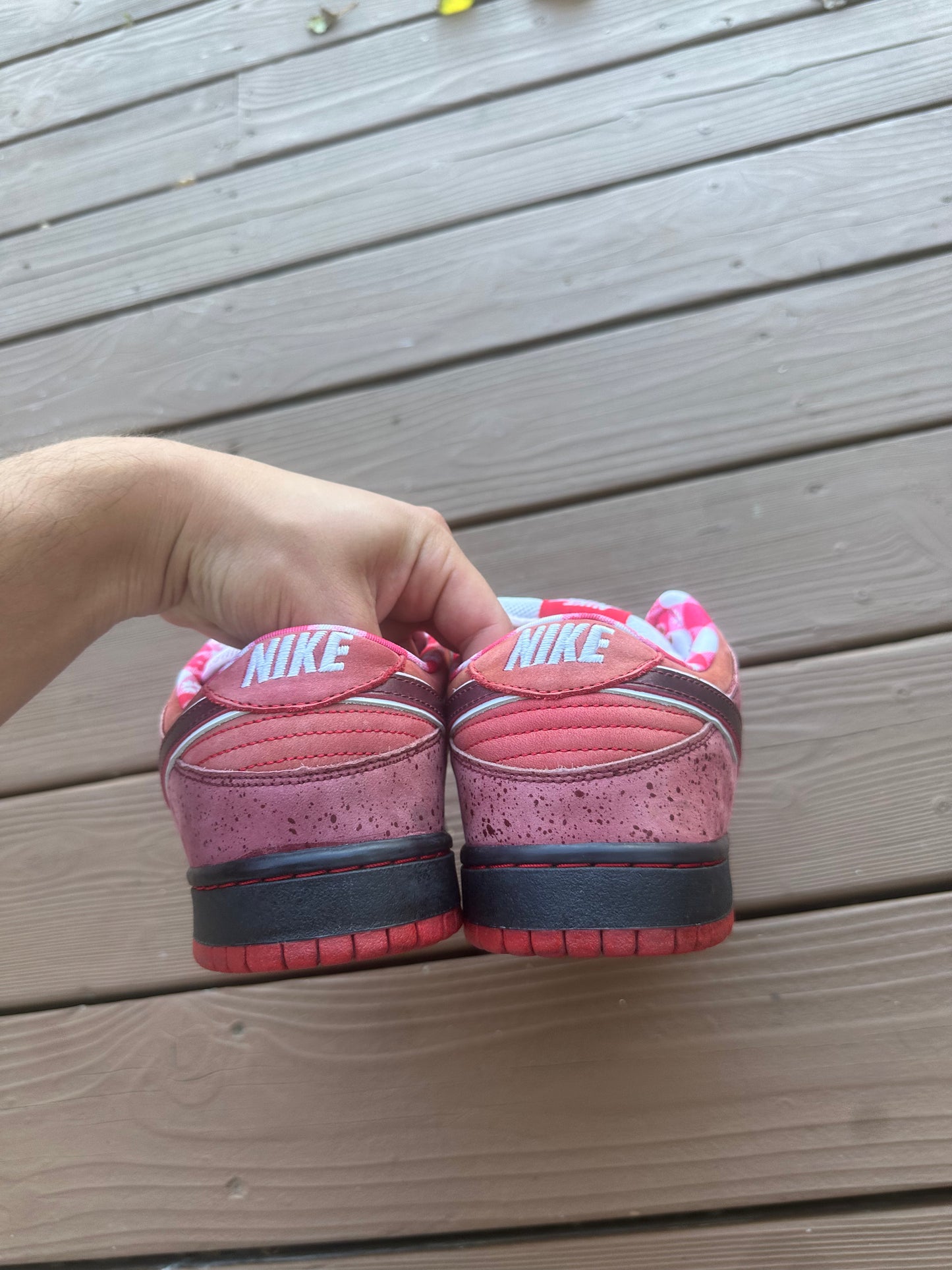 Size 11 - Concepts x Nike SB Dunk Low Premium Red Lobster