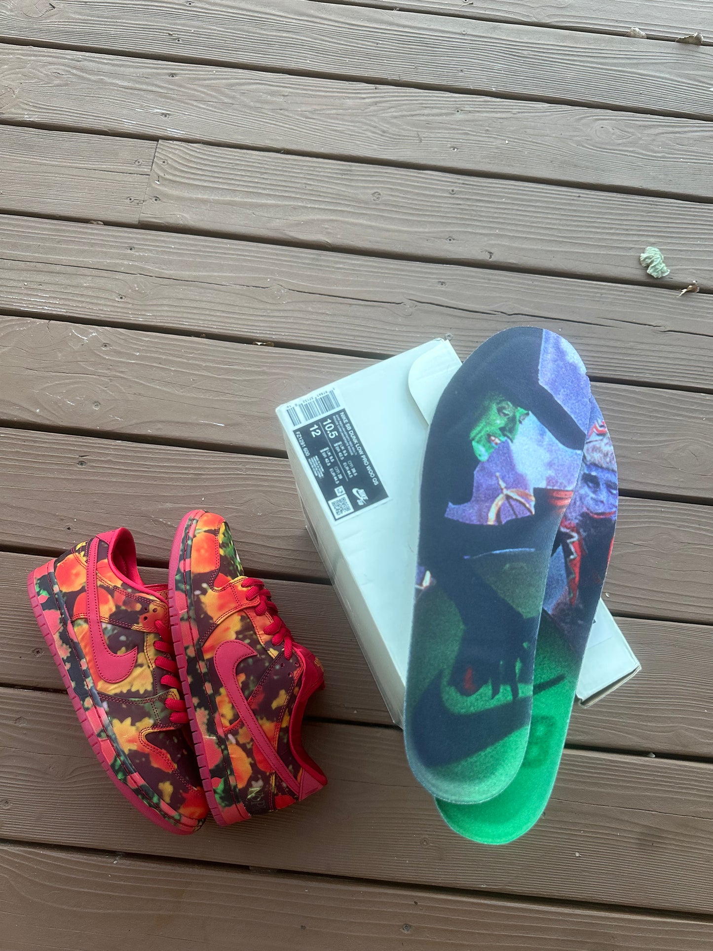 Size 10.5 - The Wizard of Oz x Dunk Low SB 'Poppy Field'