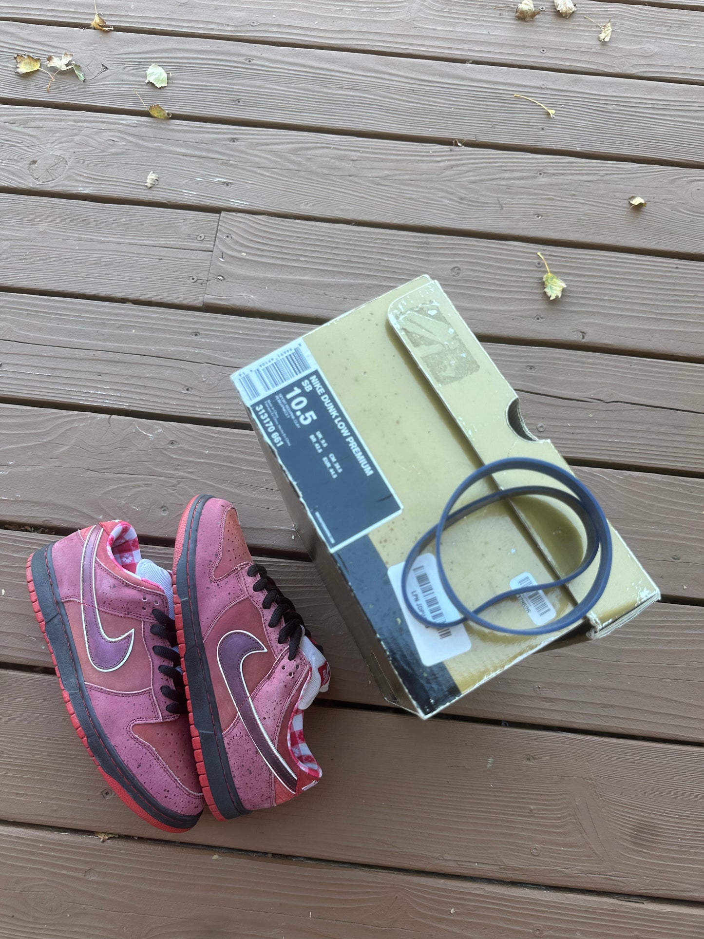 Size 10.5 - Concepts x Nike SB Dunk Low Premium Red Lobster