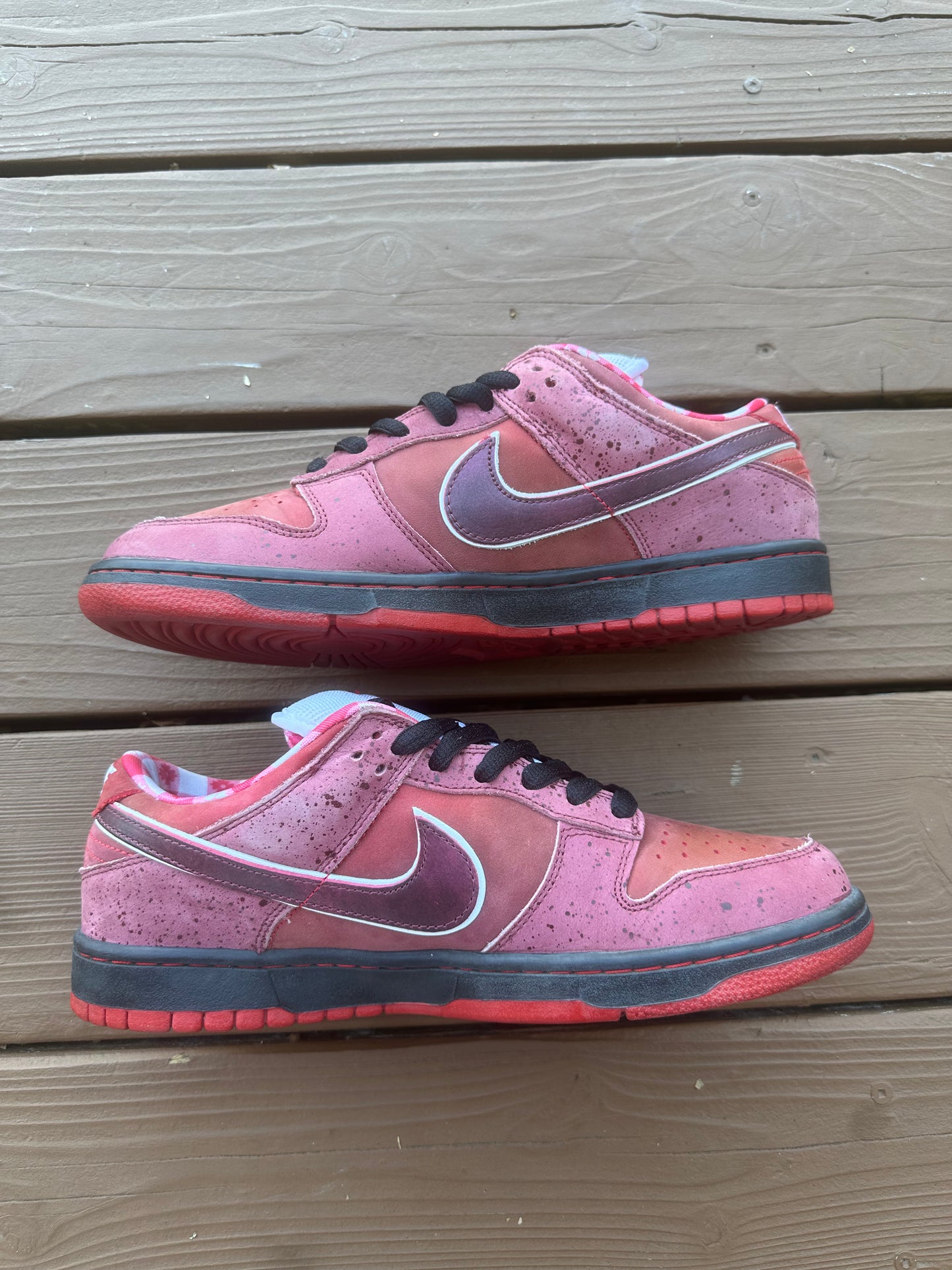 Size 10.5 - Concepts x Nike SB Dunk Low Premium Red Lobster