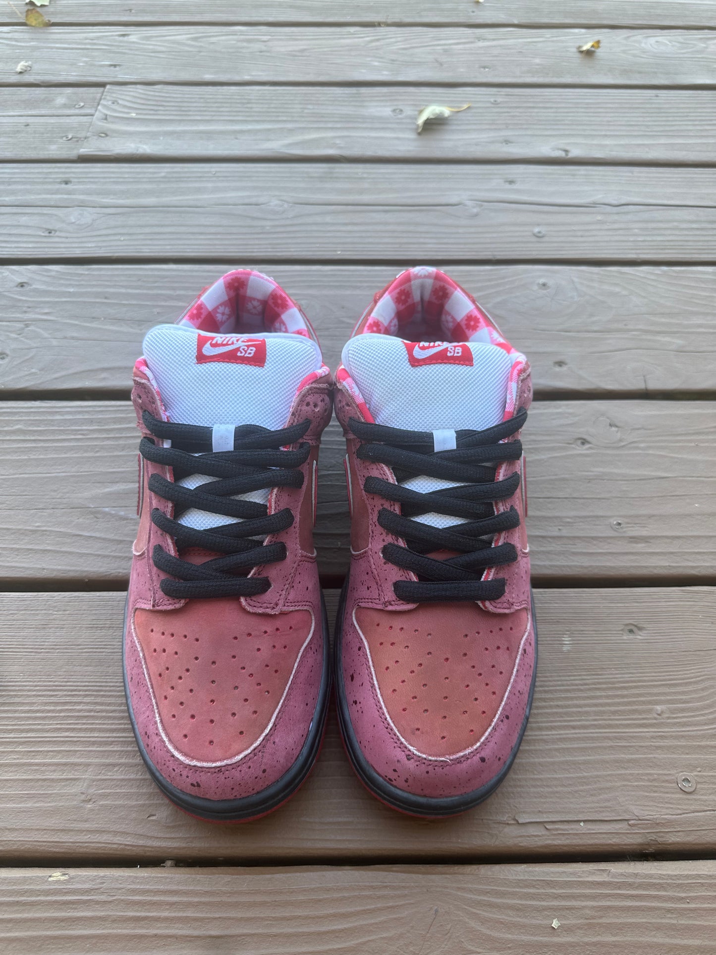 Size 10.5 - Concepts x Nike SB Dunk Low Premium Red Lobster