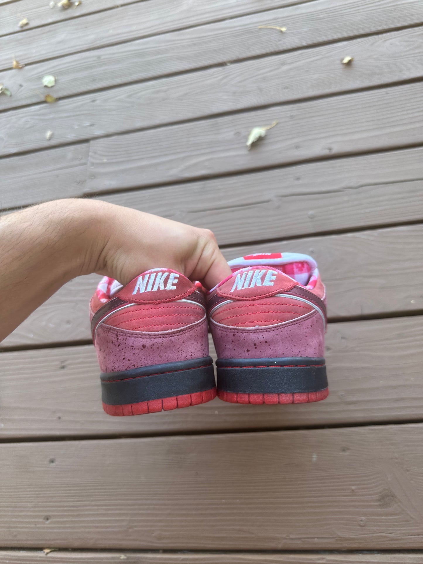 Size 10.5 - Concepts x Nike SB Dunk Low Premium Red Lobster