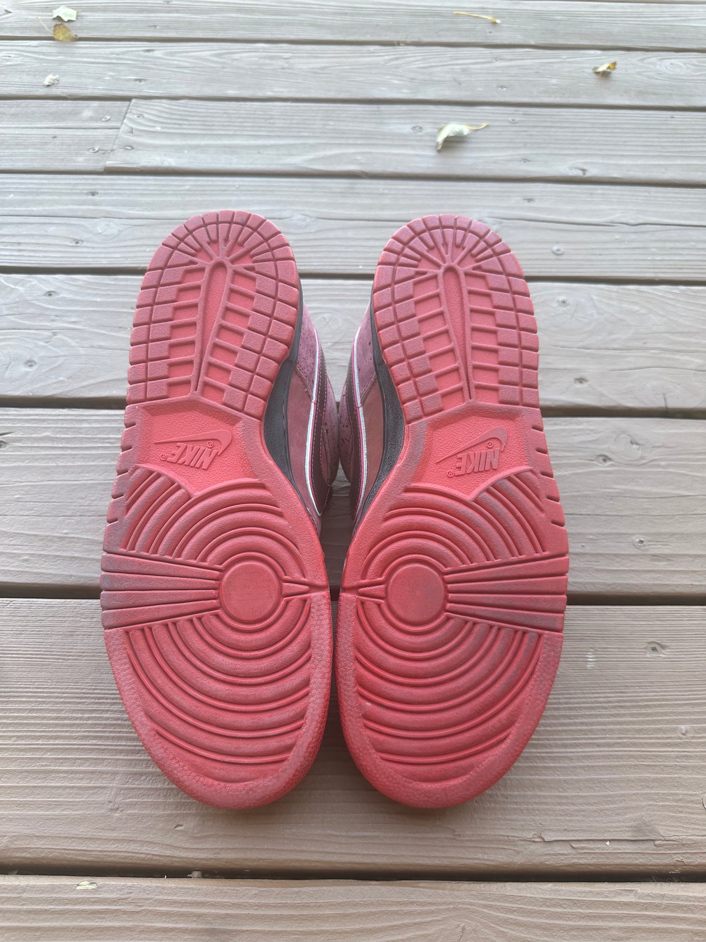 Size 10.5 - Concepts x Nike SB Dunk Low Premium Red Lobster