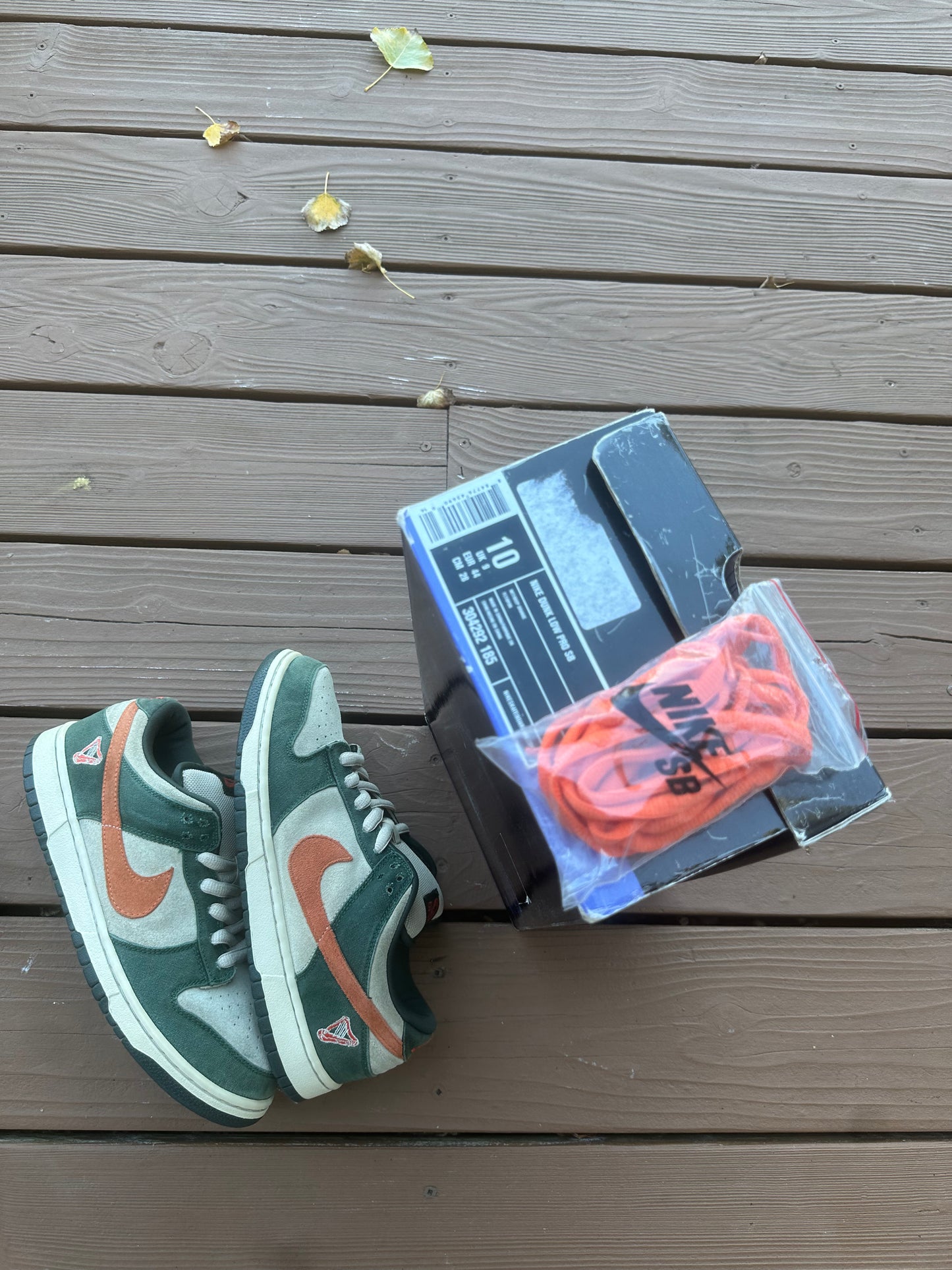 Size 10 - Nike Dunk Low Pro SB Eire