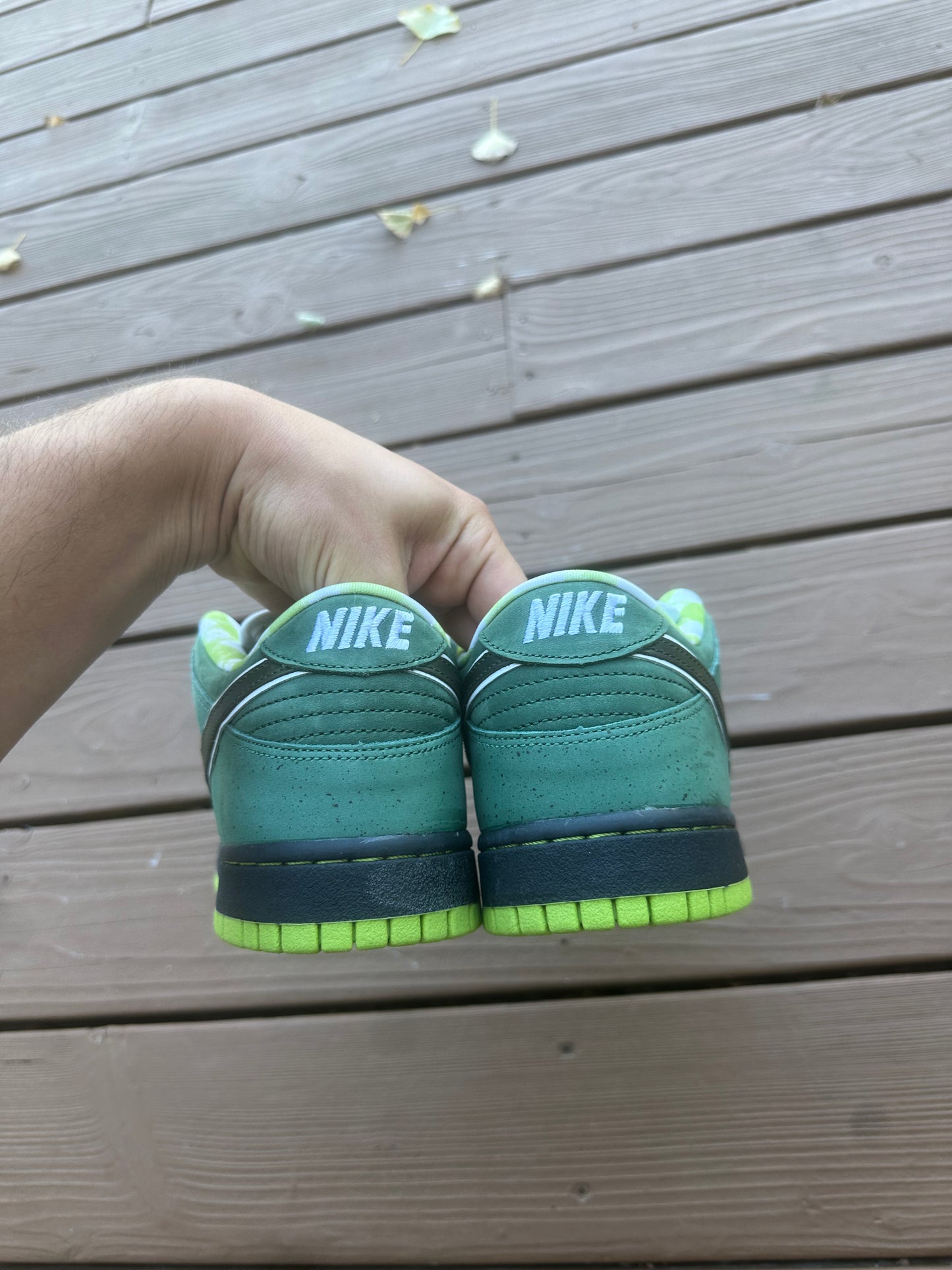 Size 9.5 - Concepts x Nike SB Dunk Low Premium Green Lobster Special Box